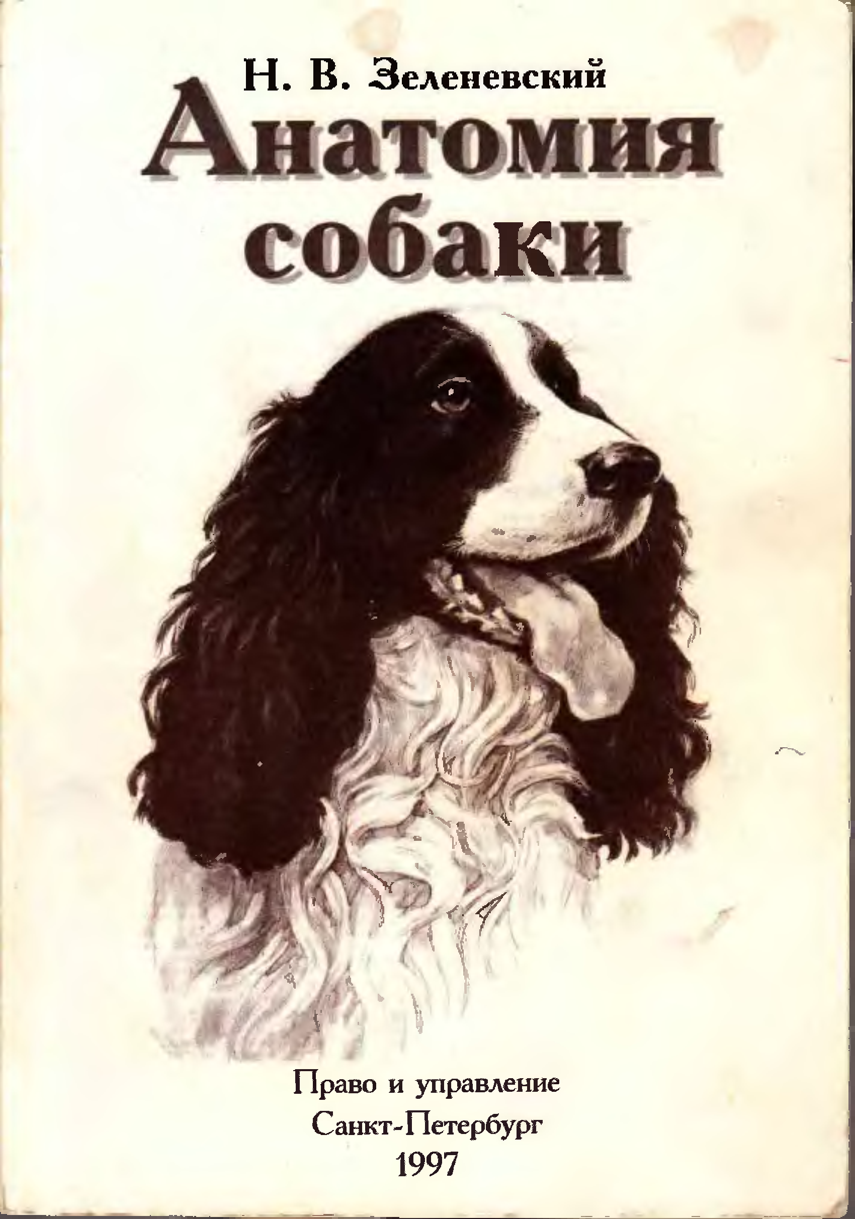 Автор собаки. Зеленевский анатомия собаки. Анатомия собаки Зеленевский н.в.. Анатомия собак книга. Анатомия собак Зеленевский 2015.