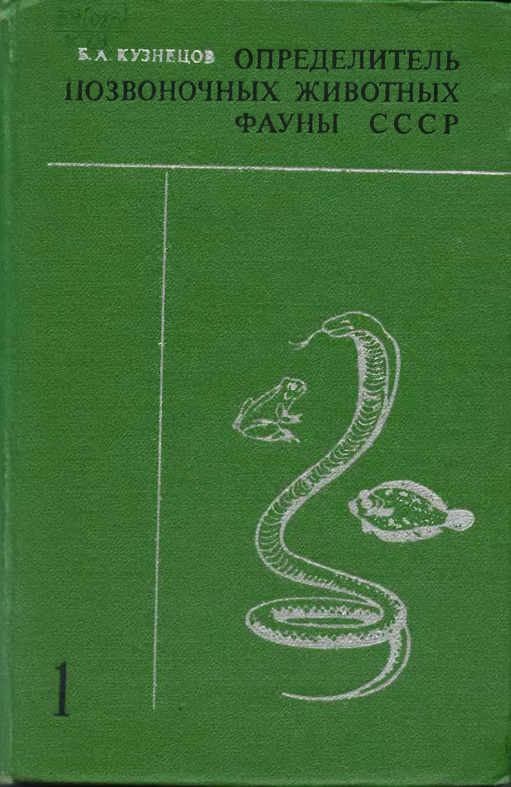 Определитель животных. Определитель позвоночных животных фауны СССР. Б. А. Кузнецов. 1974-1975г.. Кузнецов б. а. определитель позвоночных животных фауны СССР. Определитель Кузнецова позвоночных. Кузнецов определитель позвоночных животных фауны СССР часть 1.