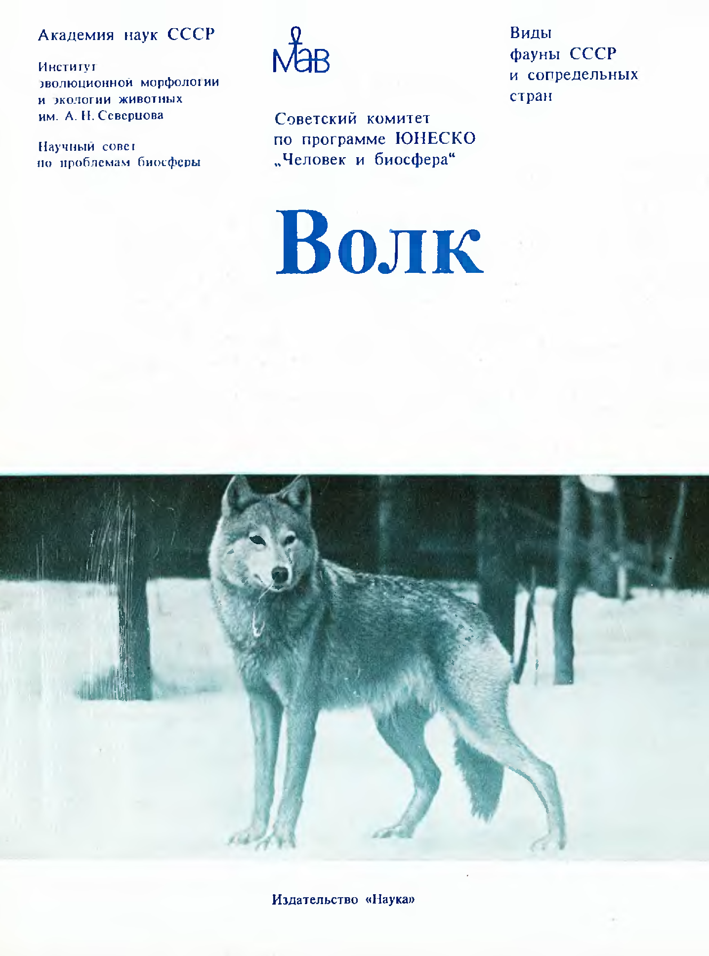 Книга волки. Волк и собака книга.