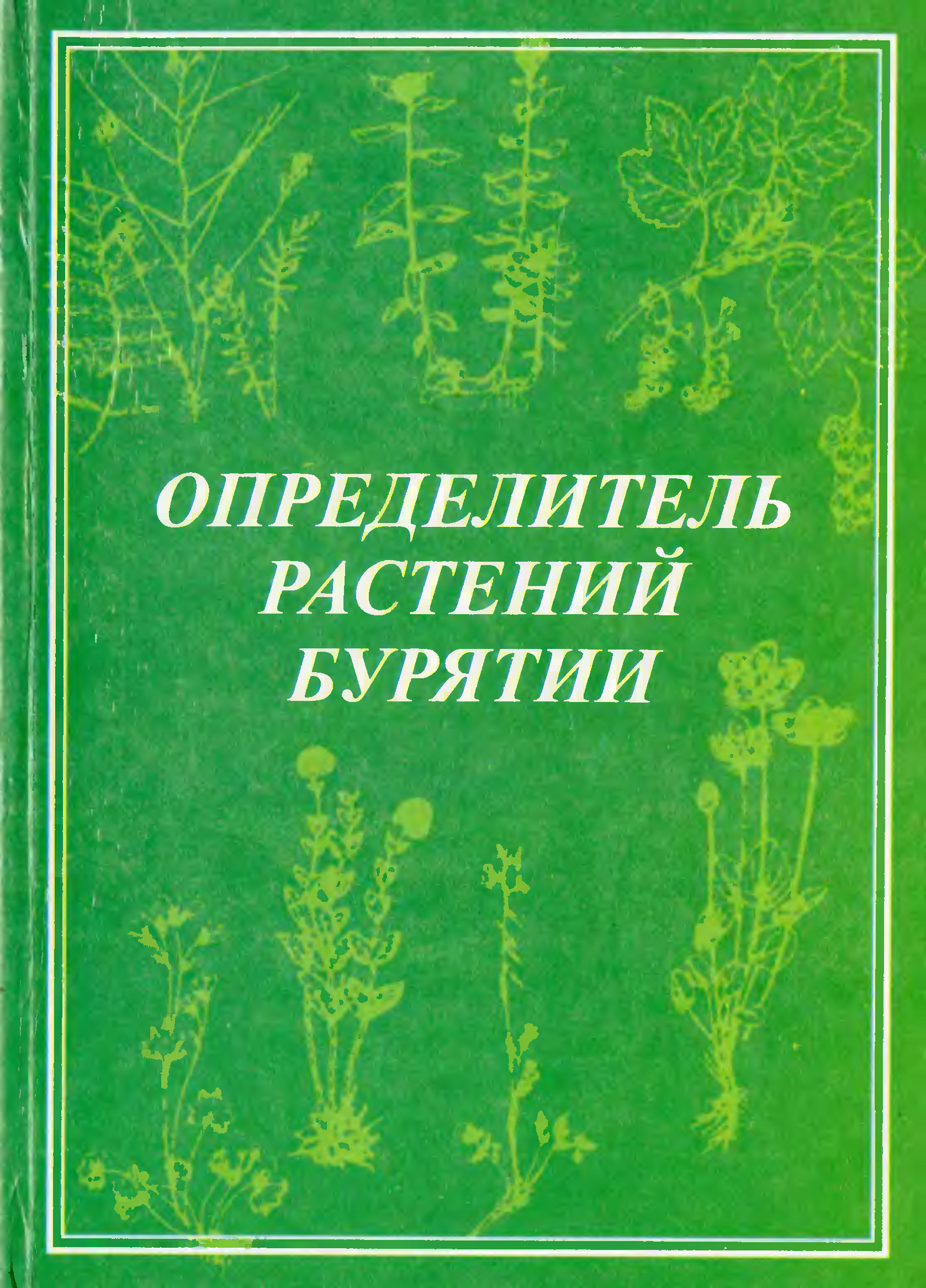 Определитель растений с картинками