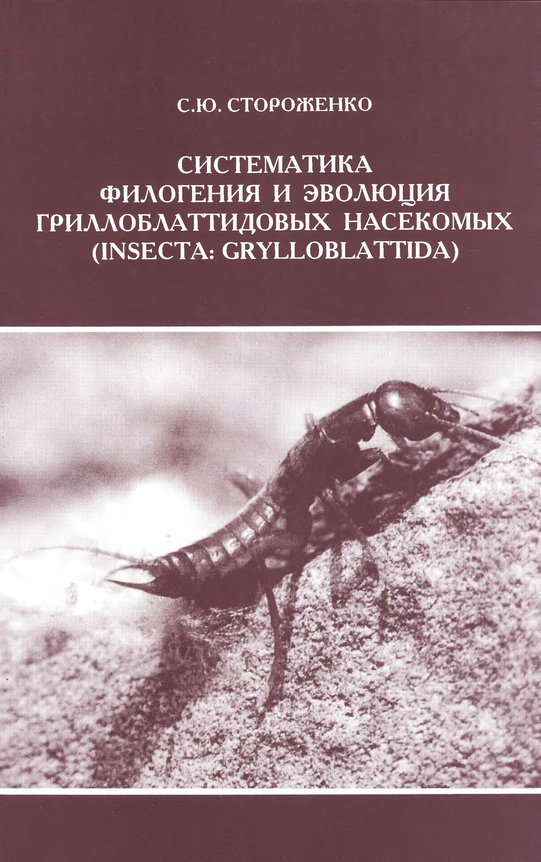 Систематика книга. Систематика и филогения насекомых. Класс Insecta систематика. Стары книги о насекомых. Математическая систематика книга медик.