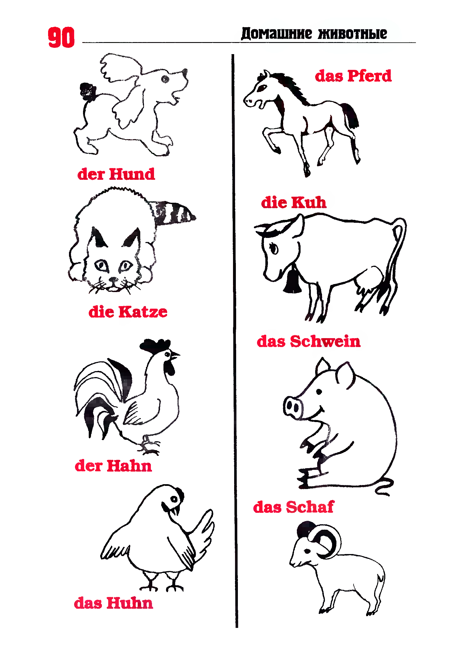 Животные на немецком. Домашние животные на немецком. Немецкий язык домашние животные задания. Животные по немецки для детей.