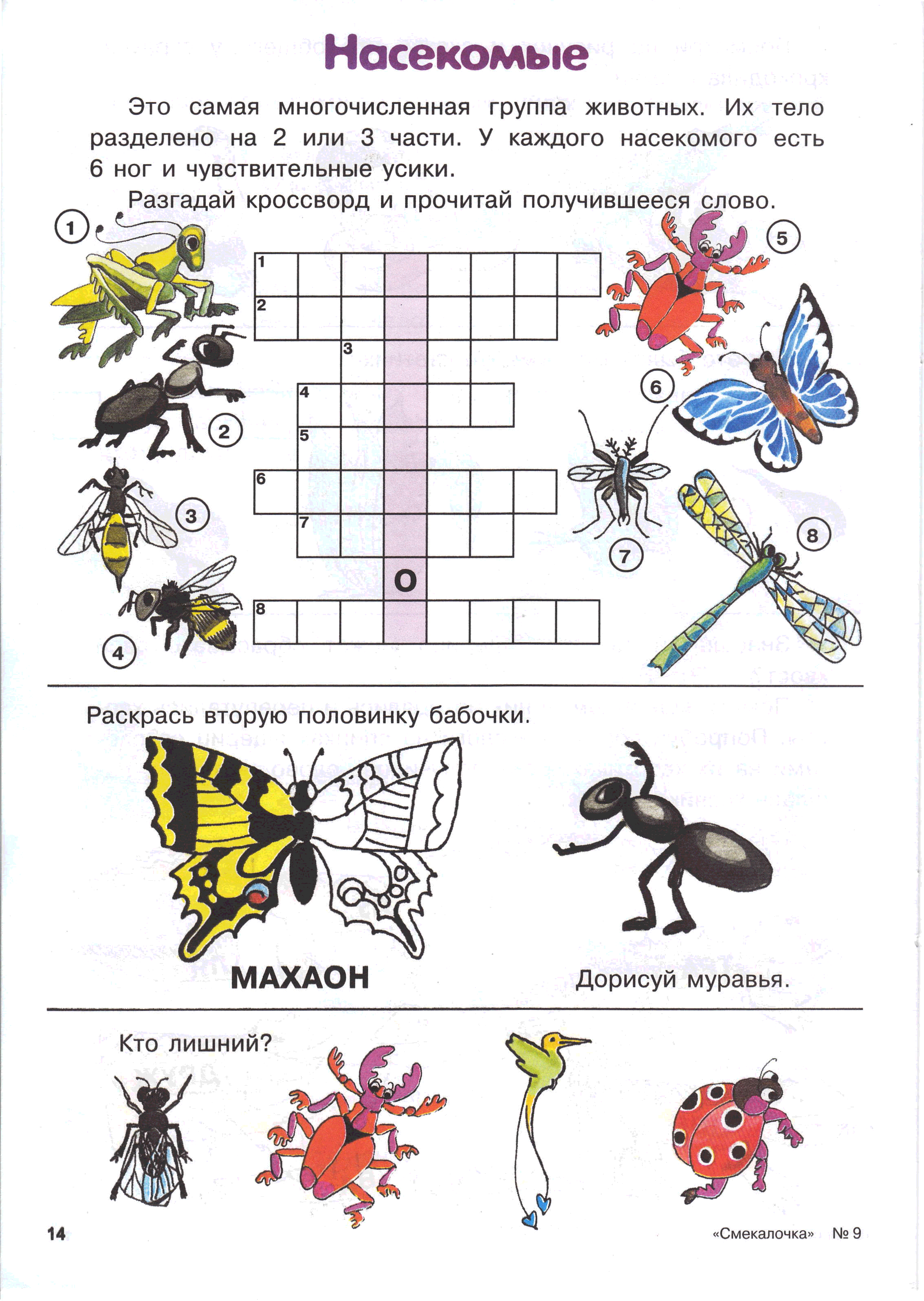Занятие насекомые в подготовительной. Насекомые задания для дошкольников. Задания на тему насекомые в подготовительной группе. Насекомые задания для детей 6-7 лет. Задания длядля дошкольников насекомые.