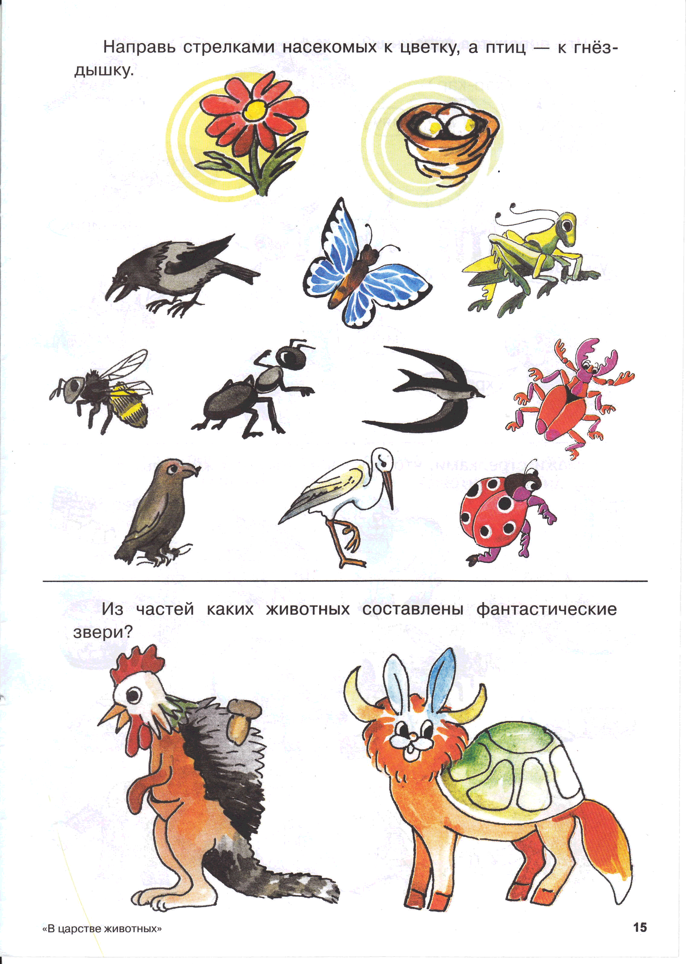 Задания для дошкольников животные насекомые