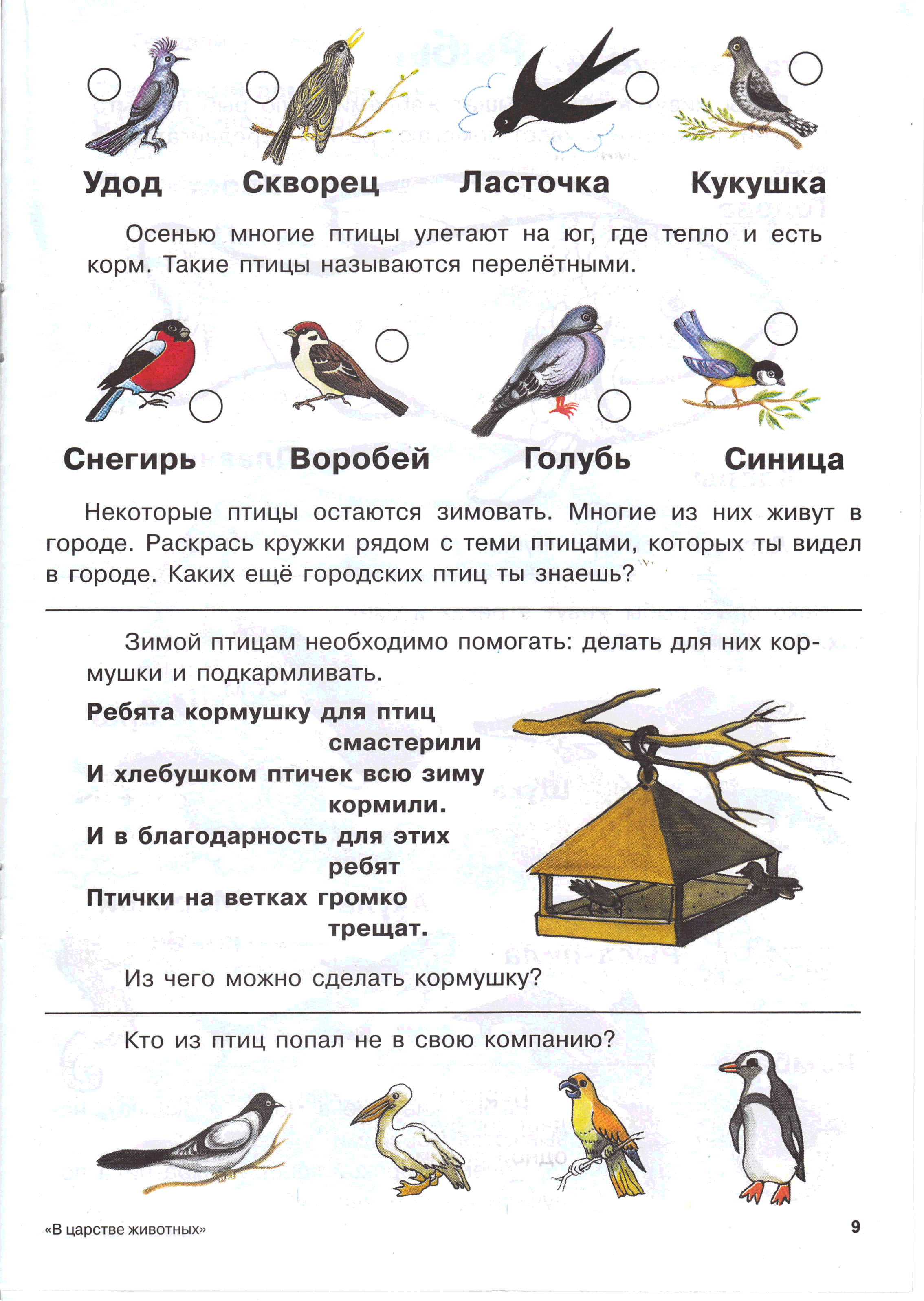 Задания для детей зимующие птицы дошкольники