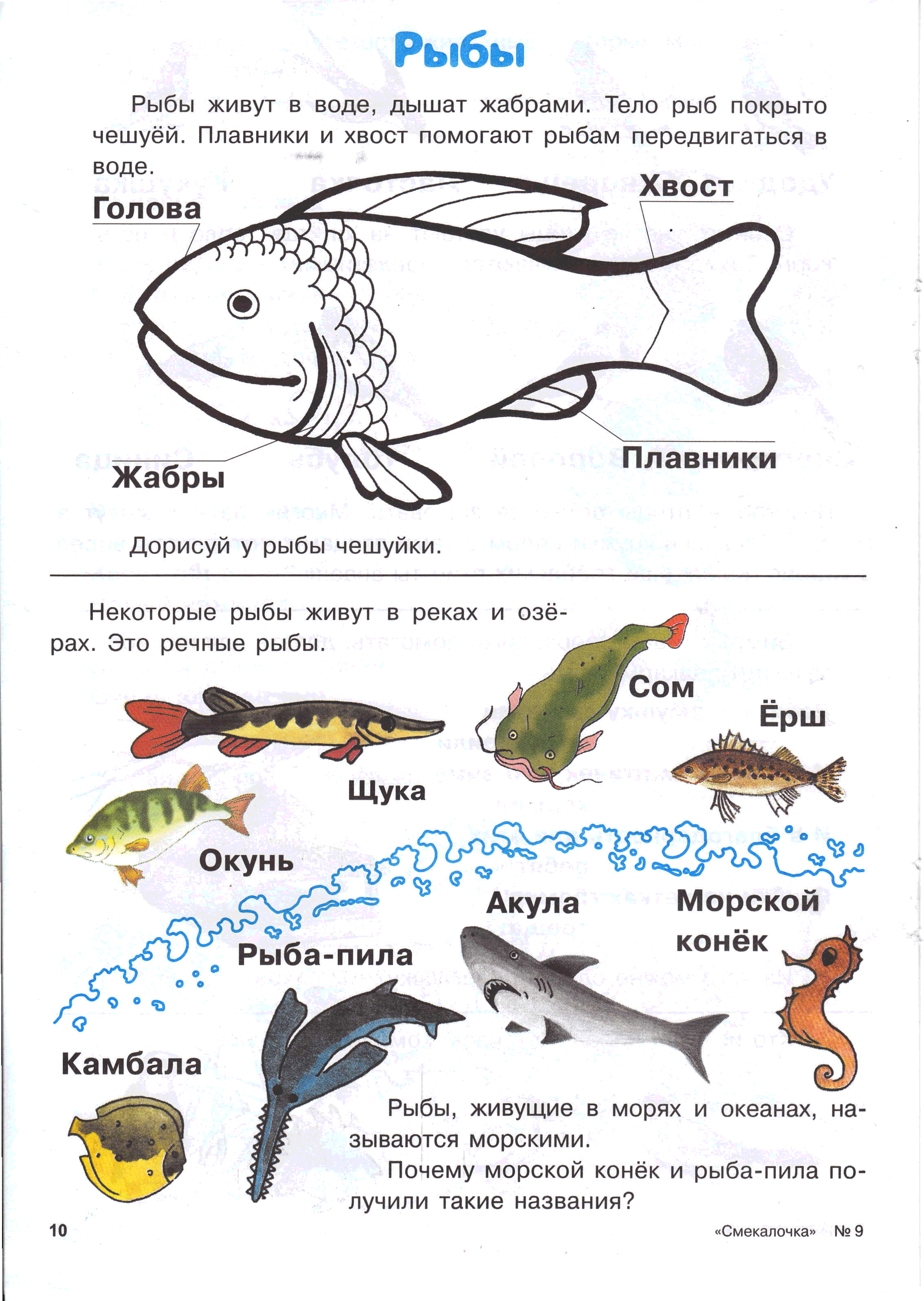 Логопедические задания по теме рыбы для дошкольников