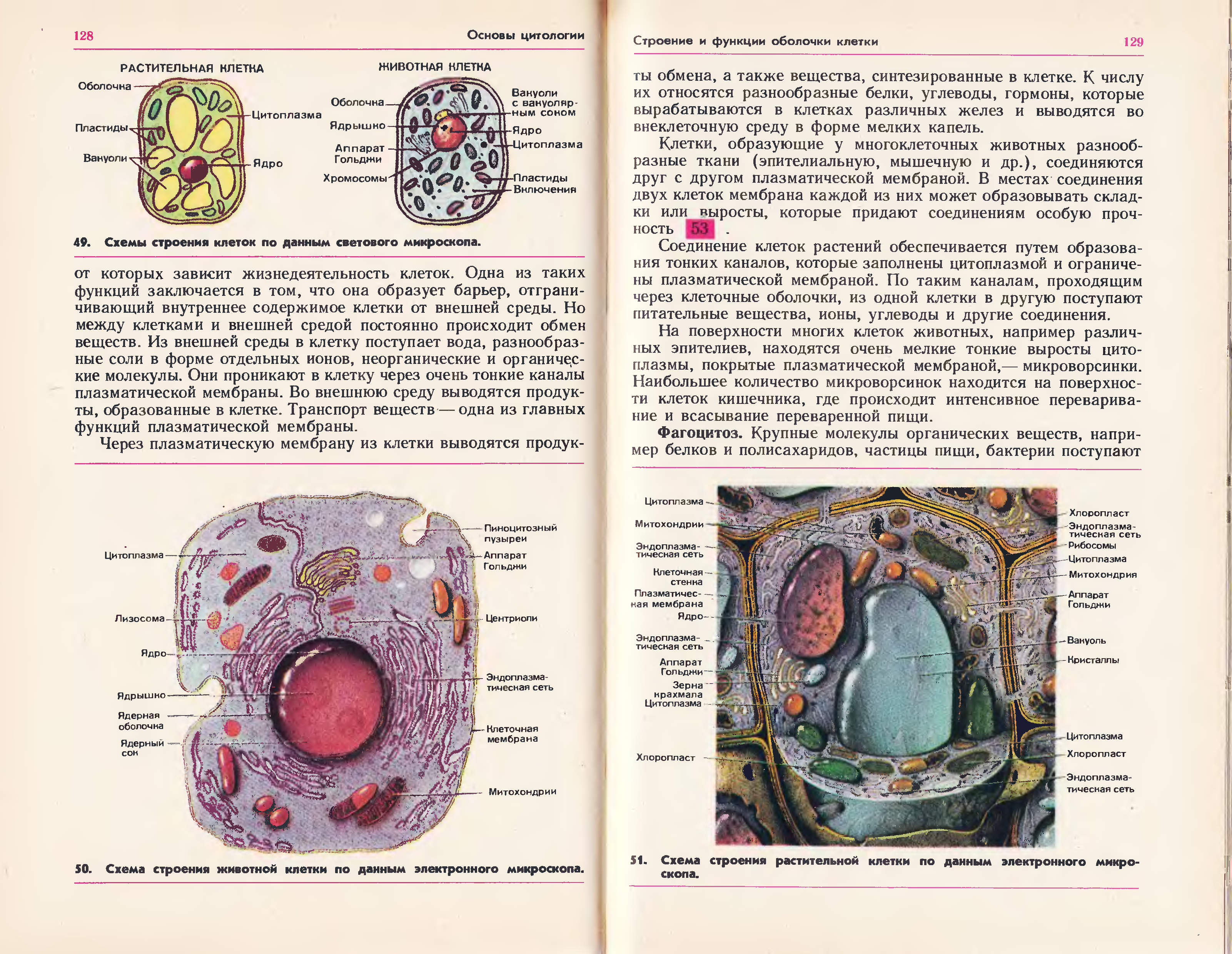 Организм и среда анатомия. Общая биология 9-10 класс Полянский. Общая биология Ролинский. Клетка из учебника биологии. Клетка книга.