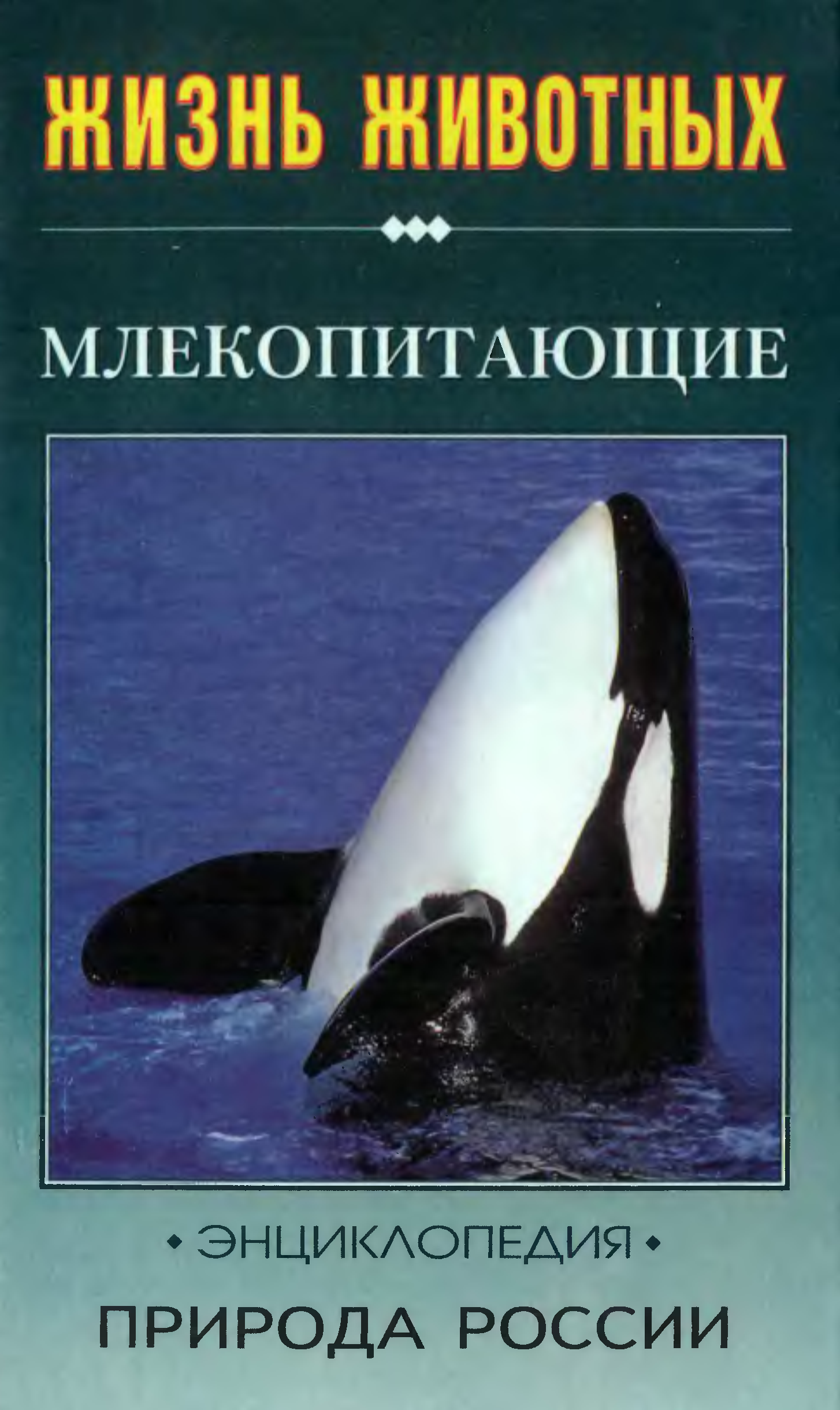 Книга млекопитающие россии. Морские млекопитающие (справочник. Природа. Энциклопедия.