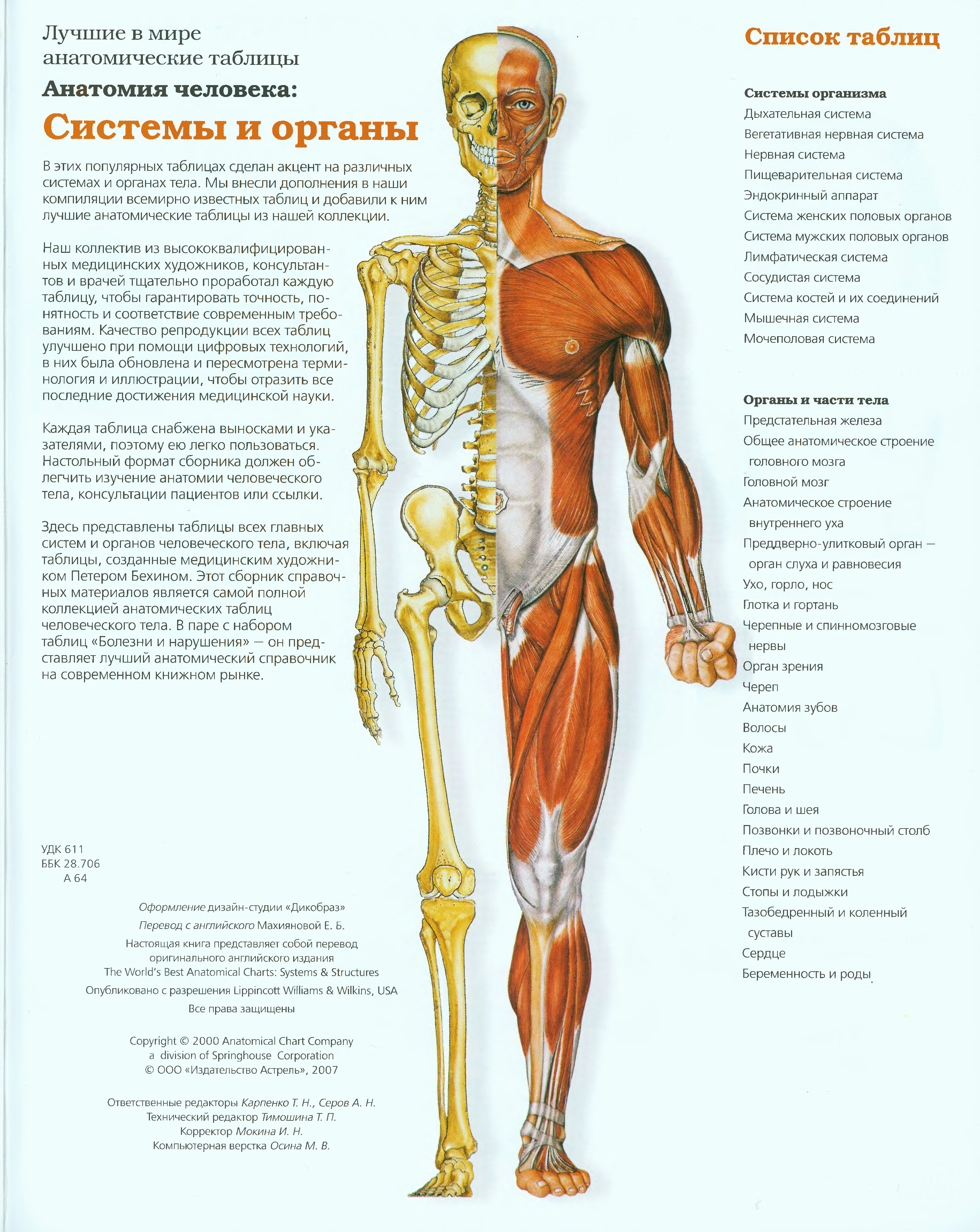 Система органов тела человека. Сосудистая система человека анатомия атлас. Строение тела человека. Анатомия человеческого тела. Строение тела человека для детей.