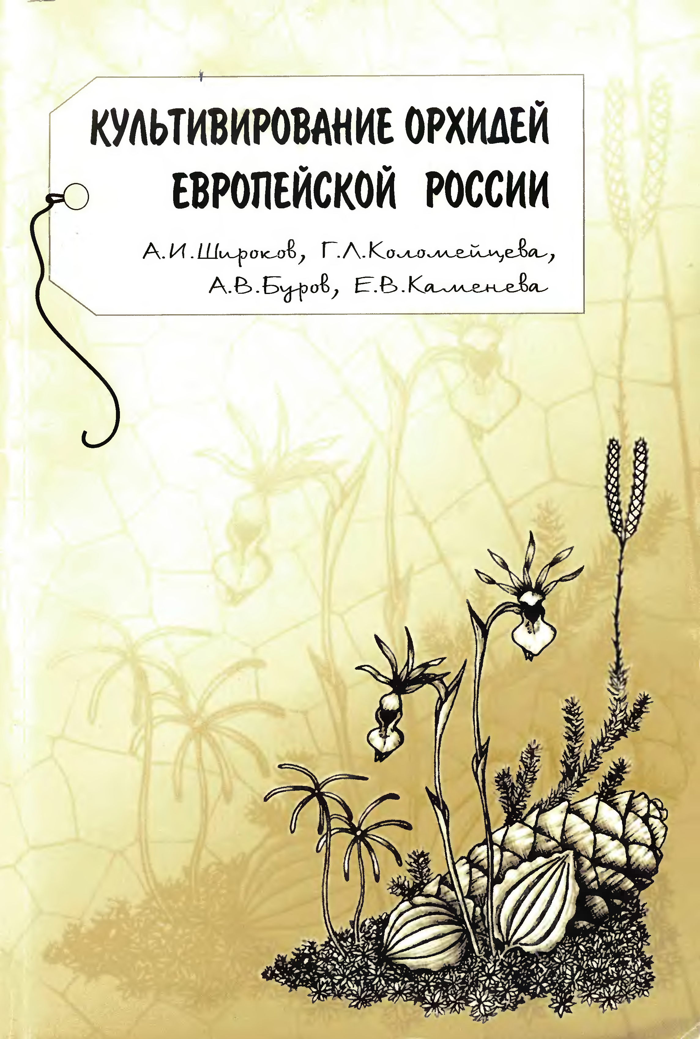 Л бурова. Книга культивирование садовых орхидей. Культивирование садовых орхидей книга Широков купить в Москве.
