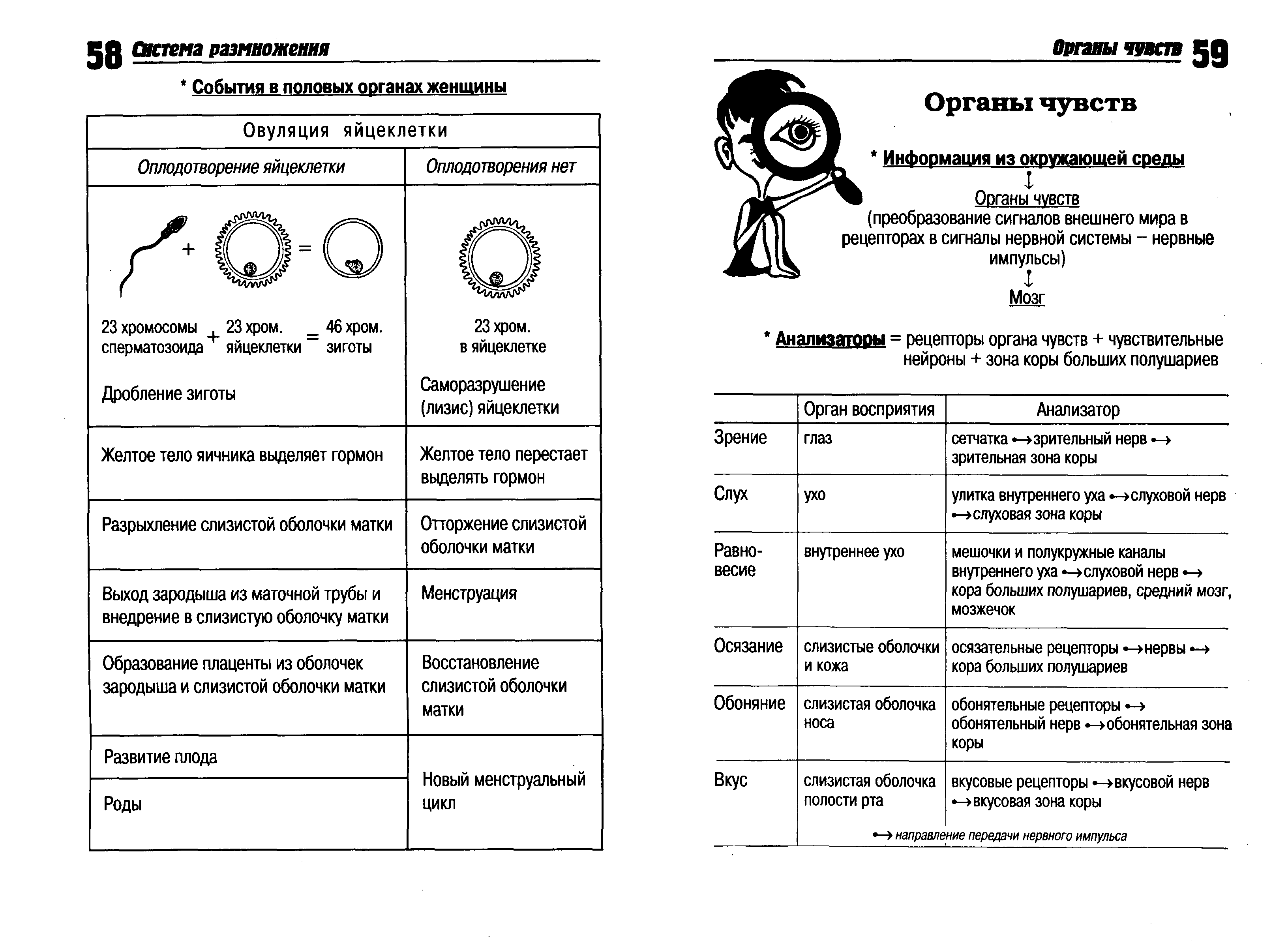 Таблицы по биологии картинки