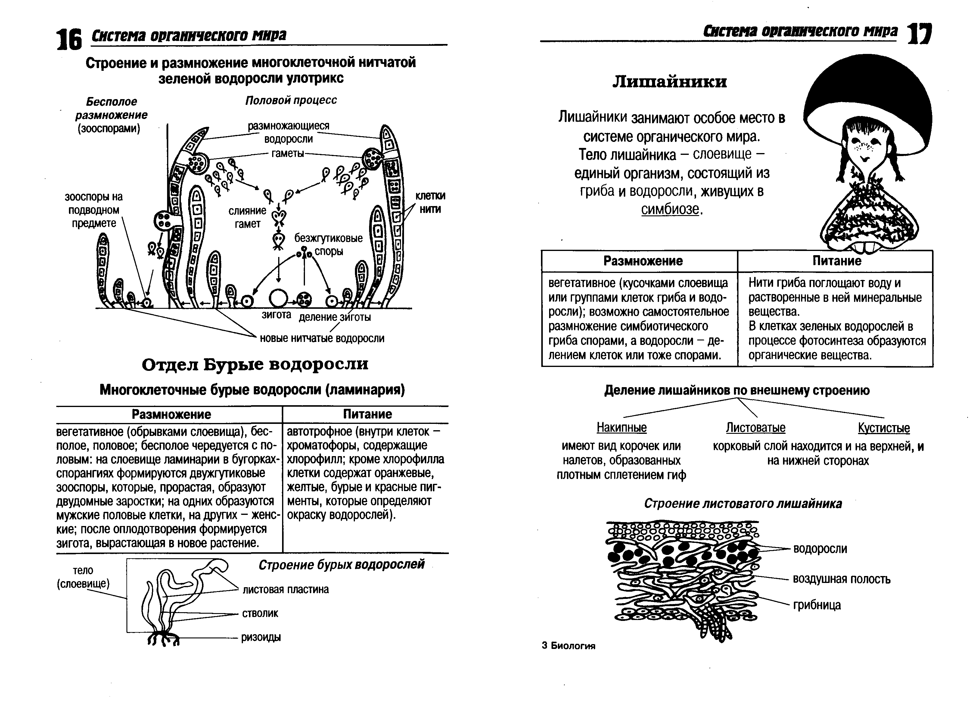 Вся биология в схемах и в таблицах