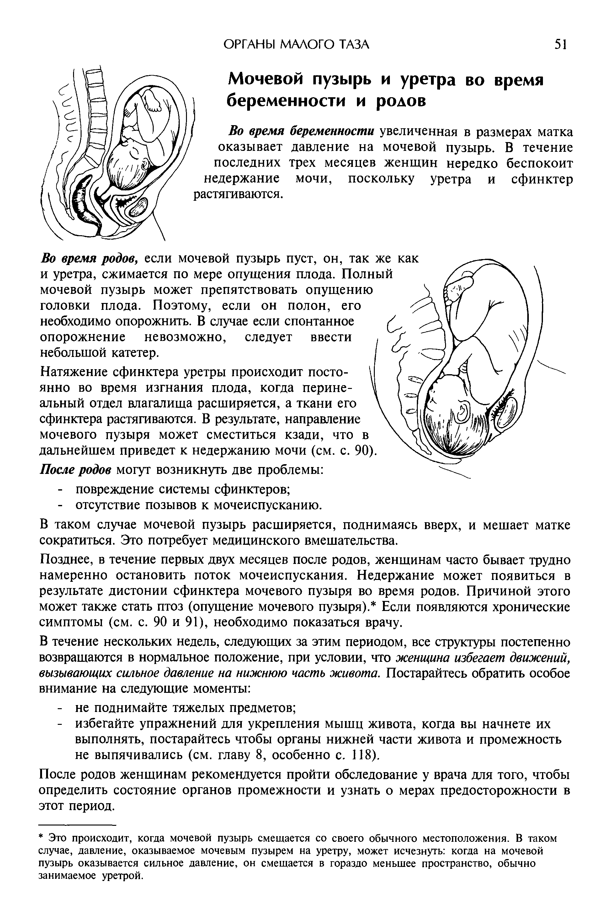 Симптомы опущения органов малого таза у женщин. Бландин Кале Жермен женский таз. Признаки опущения органов малого таза у женщин. Выпадение органов малого таза у женщин фото. Признаки опущения органов малого таза у женщин фото.