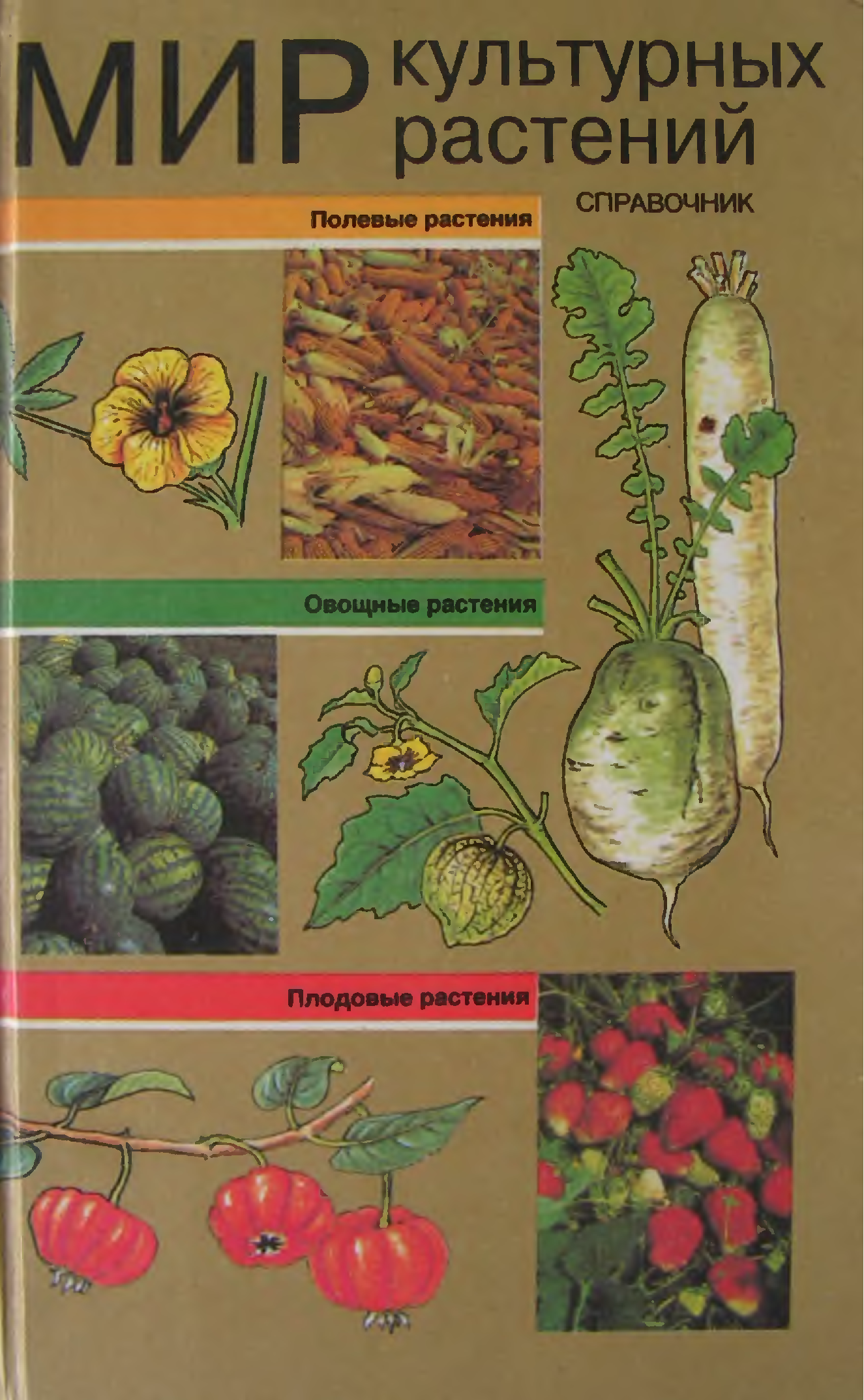 Книги о культурных растениях 3 класс