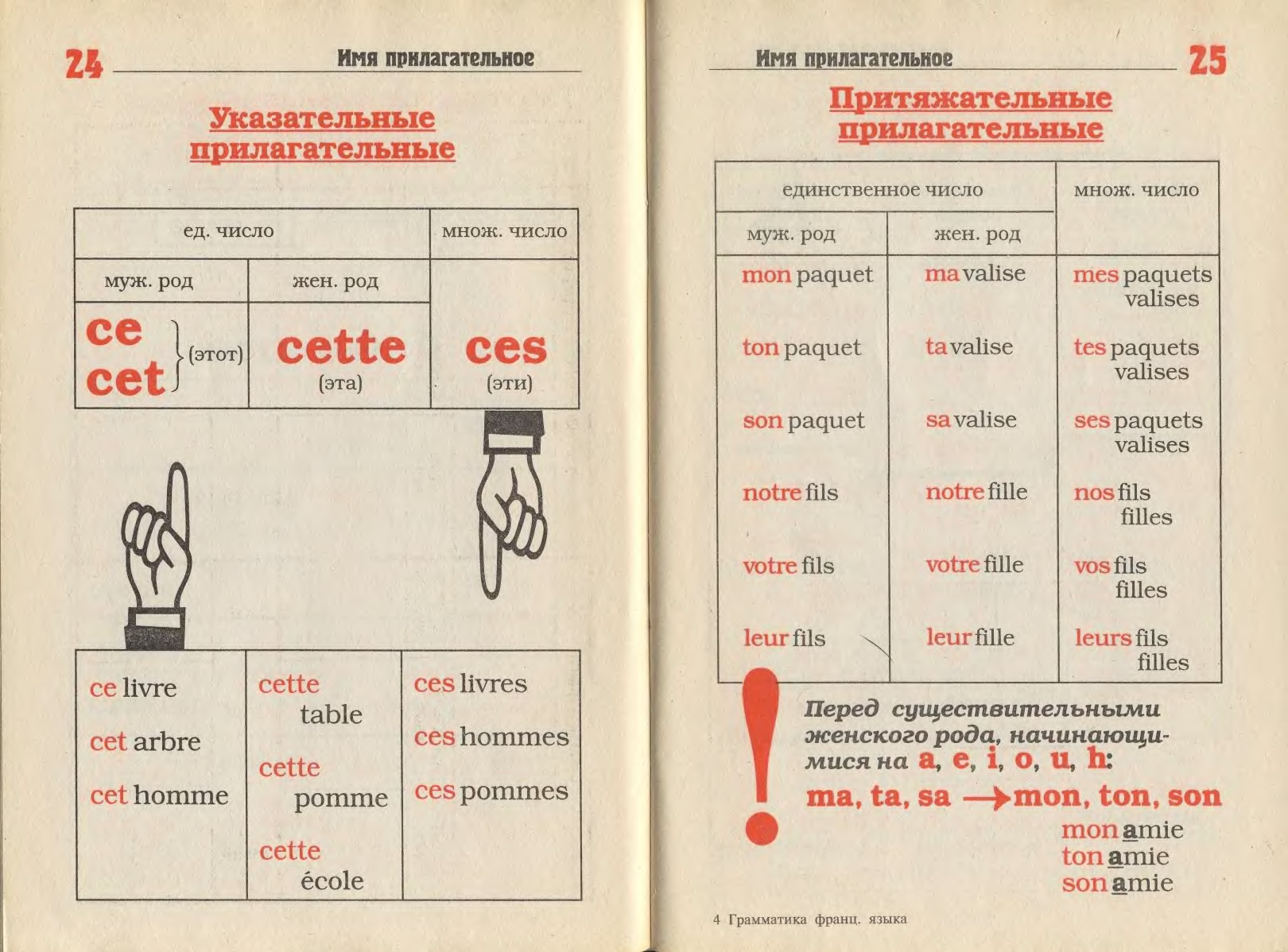 Латинский язык грамматика в таблицах и схемах