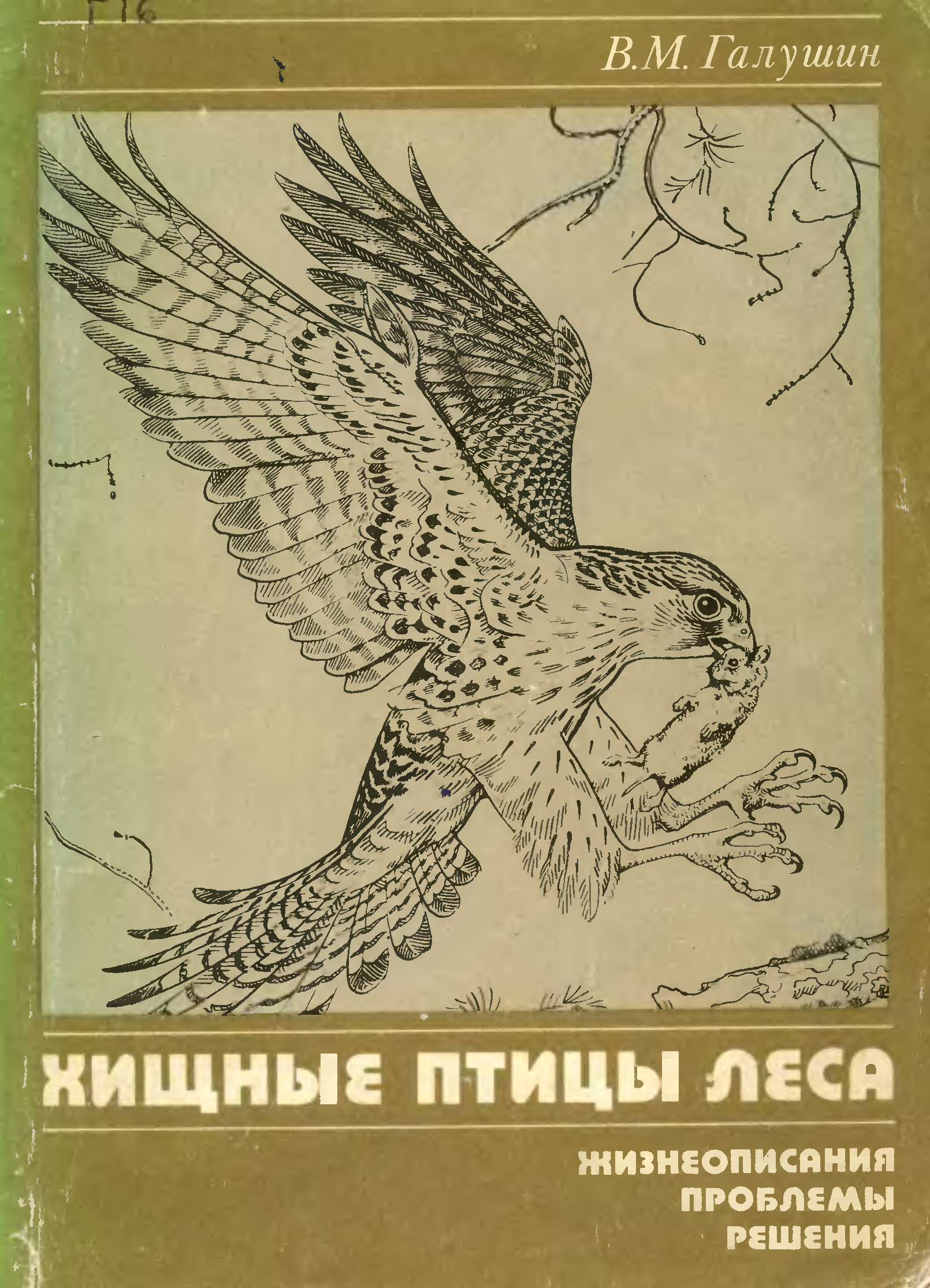 Хищные птицы книги. Галушин в. м. Хищные птицы леса. Жизнеописания, проблемы, решения. Книга Хищные птицы. Птицы леса книга.