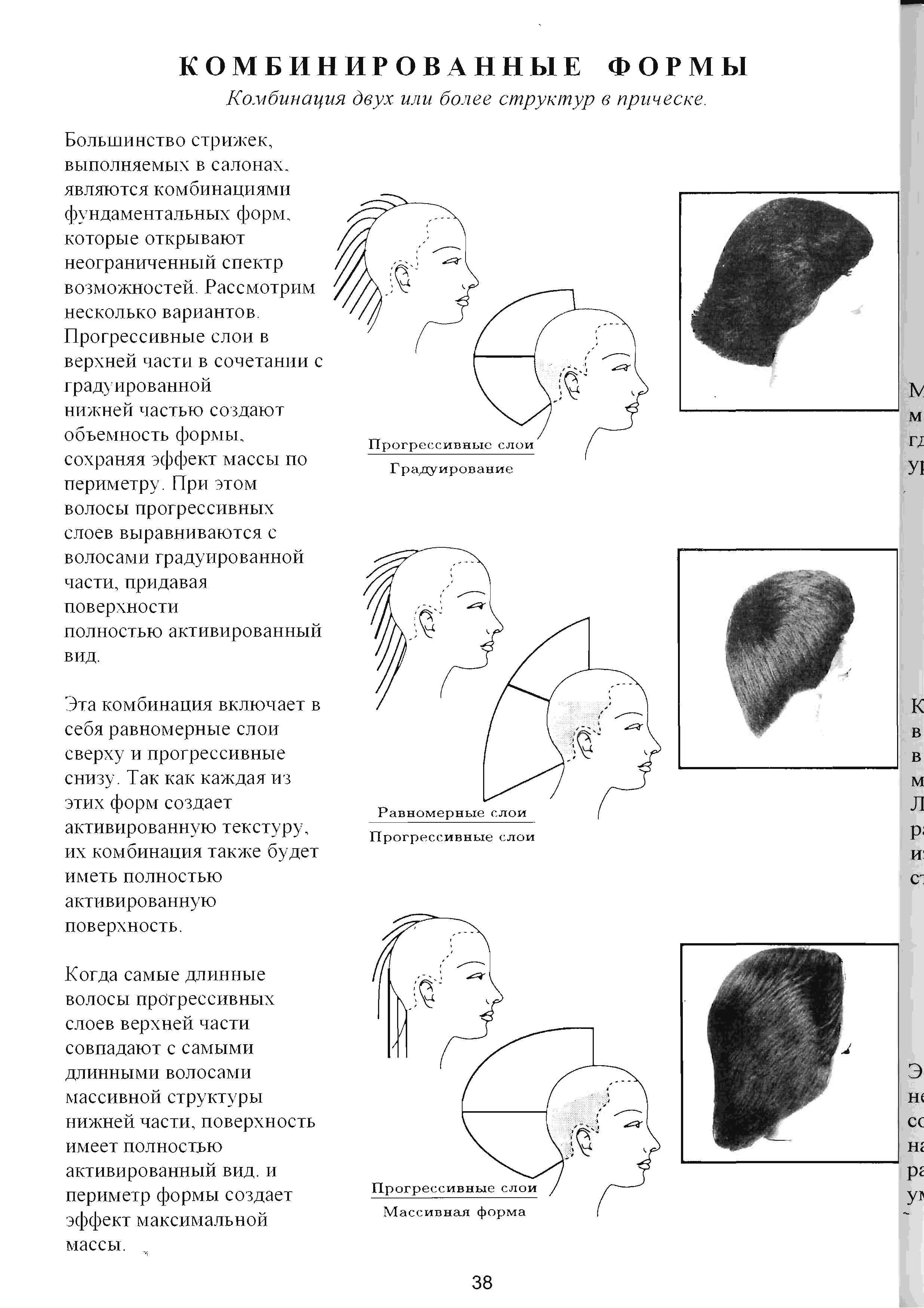 Формы стрижек схемы и названия