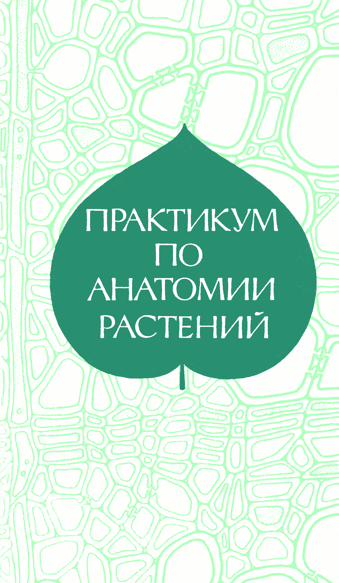 Издательство практикум. Практикум по анатомии. Практикум по анатомии и морфологии растений. Практикум по ботанике. Анатомия растений учебник для вузов.