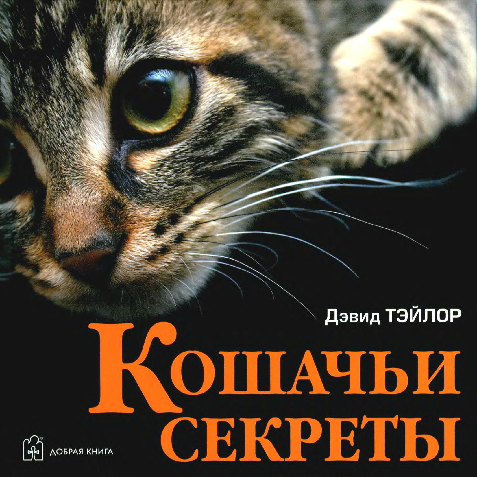 Секрет кота. Книги о котах. Книги про кошек. Книга кошачьи секреты. Книги о кошках Художественные.