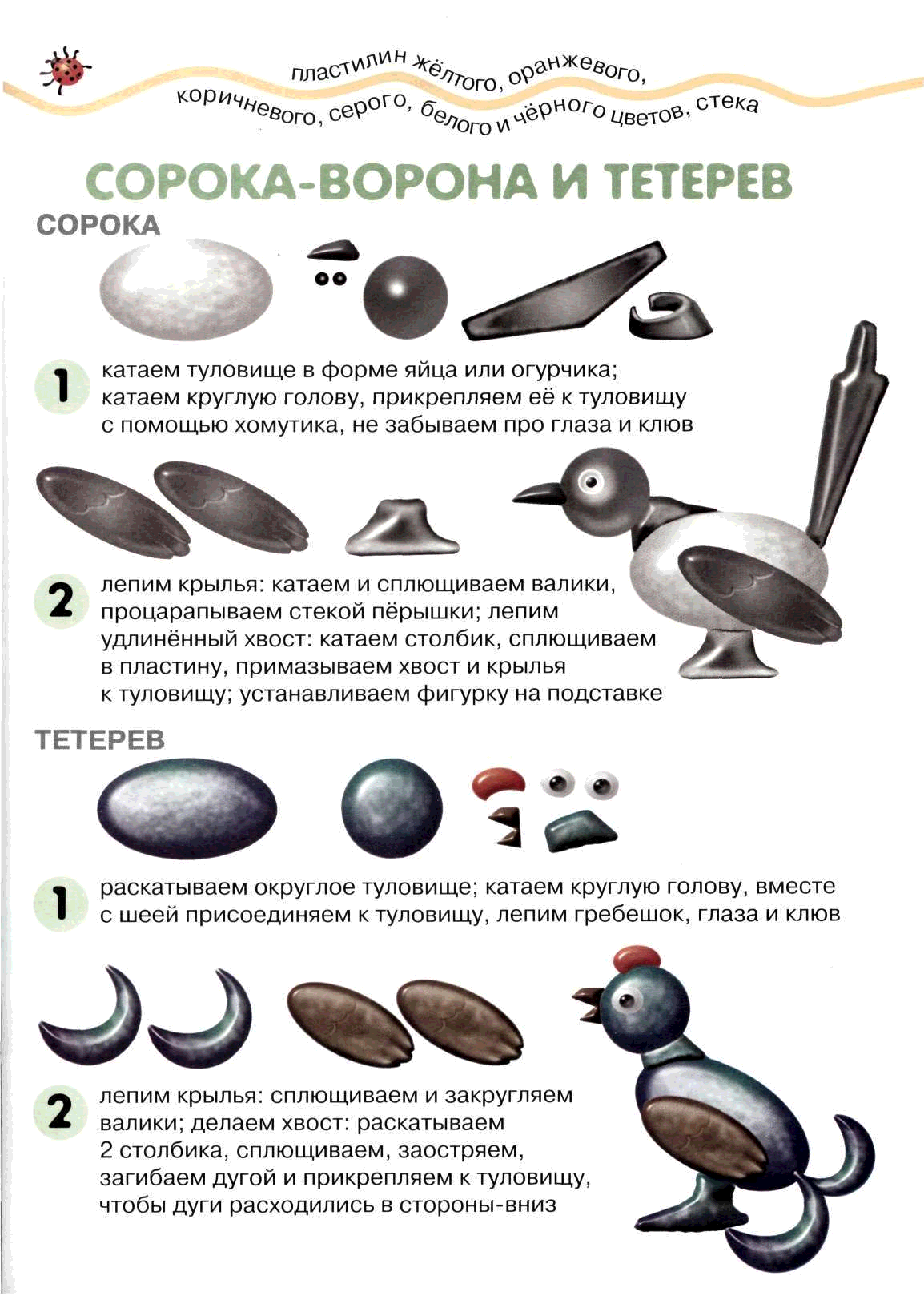 Как лепить птицу в старшей группе схема