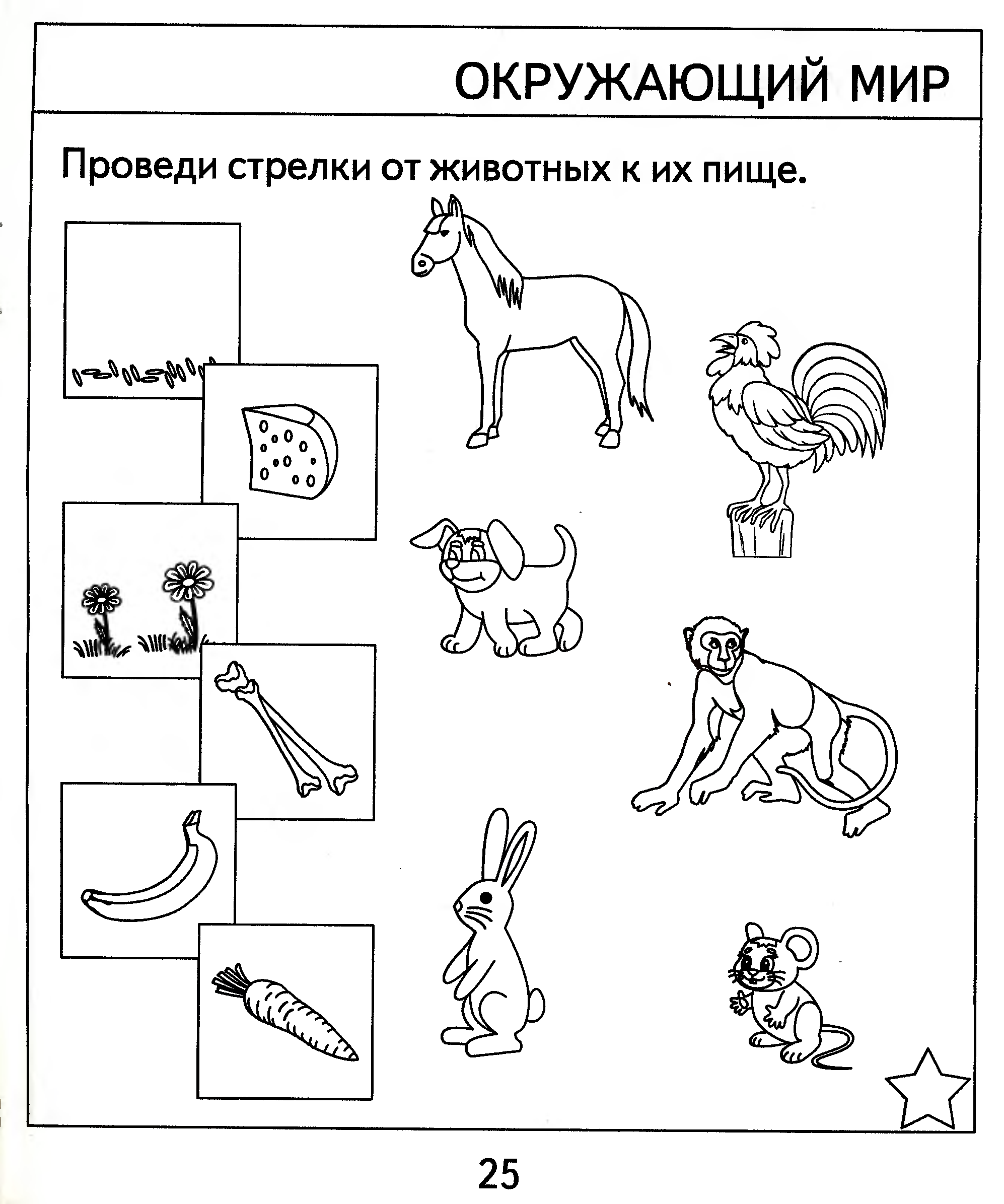 Окружающий мир 6. Проверяем знания дошкольника. Тесты для детей 5 лет. Тест с картинками для дошкольников. Проверяем знания дошкольника тесты для детей 6 лет. Окружающий мир 6 лет.