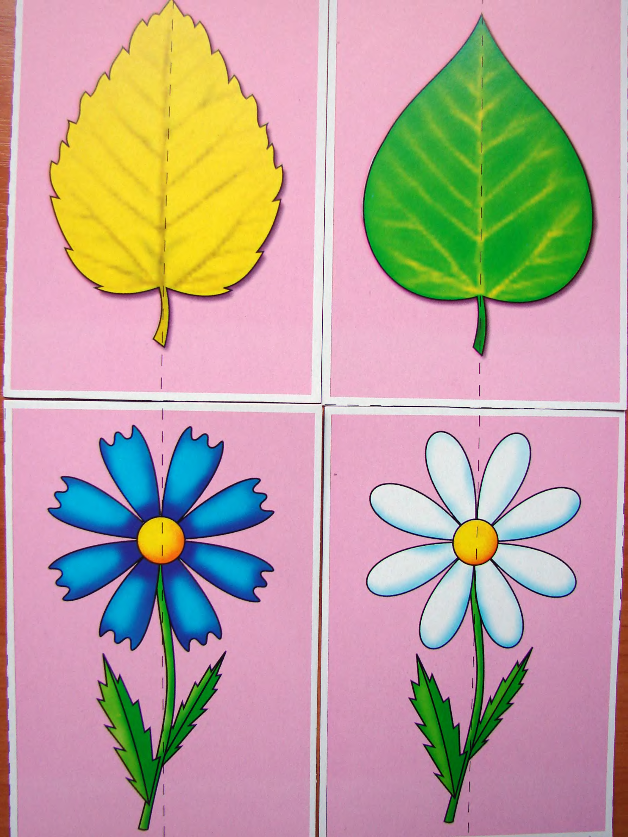 Разрезные цветы для детей