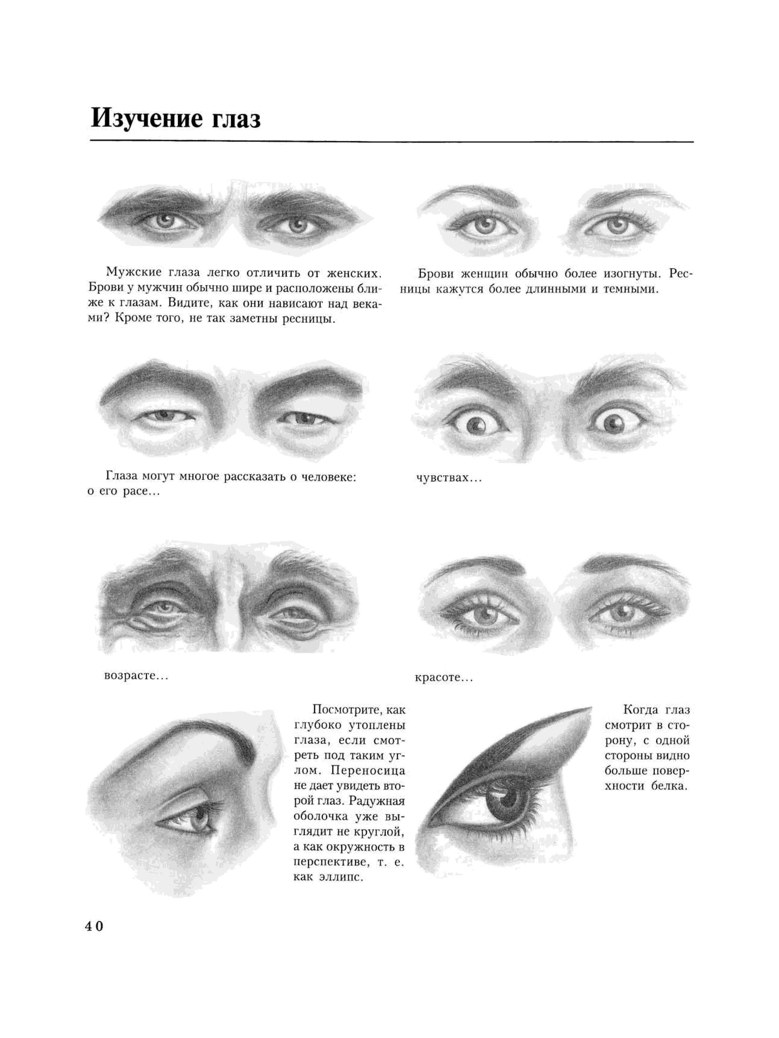 Изучал глаз. Мужские и женские глаза отличия. Учимся рисовать портреты вместе с ли Хэммонд. Отличие мужских глаз от женских. Как выучить глаза.