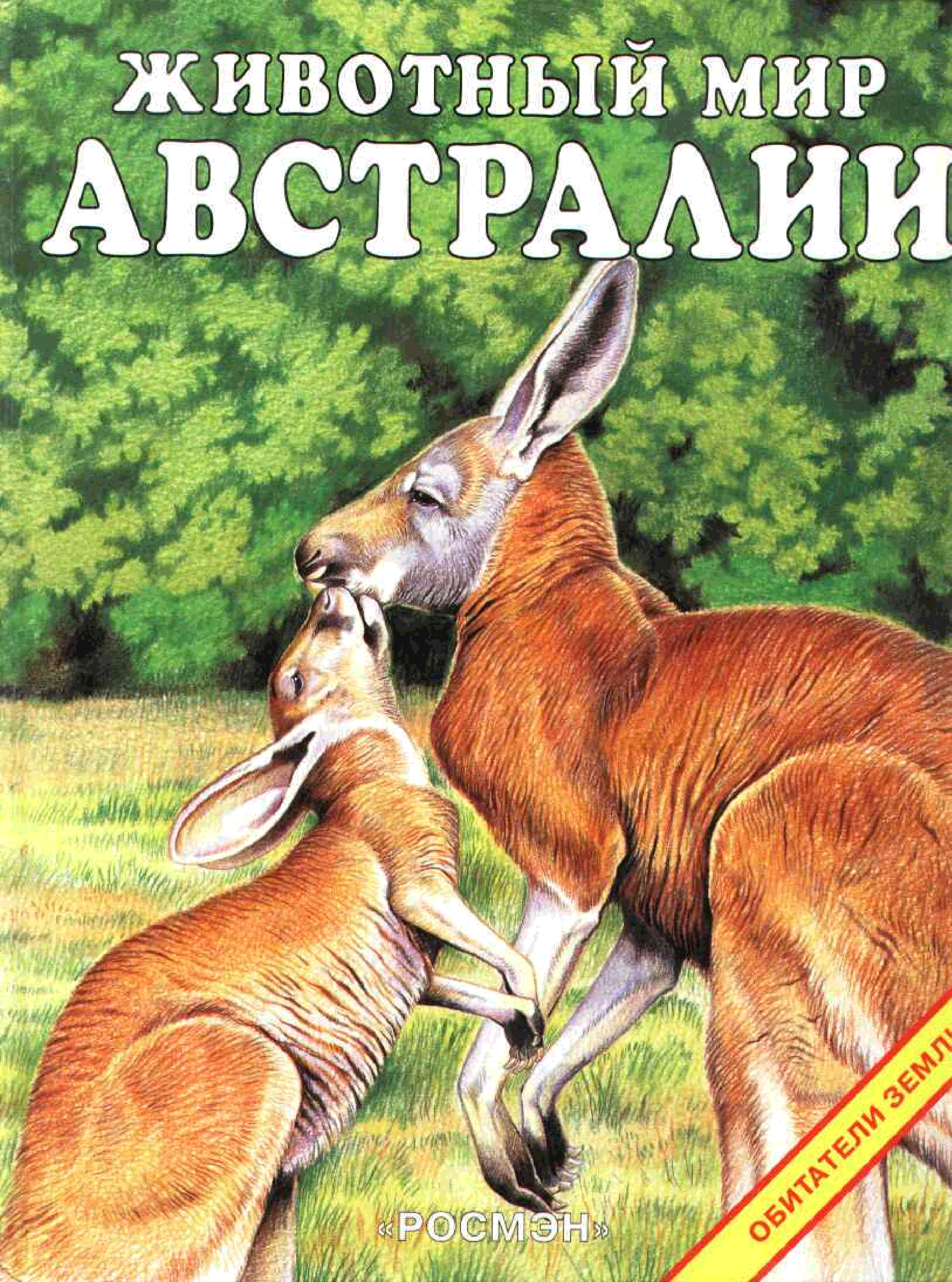 Книга о животных коротко. Животный мир Австралии Росмэн. Обложка книги о животных. Книга животные Австралии. Животные для детей книга.
