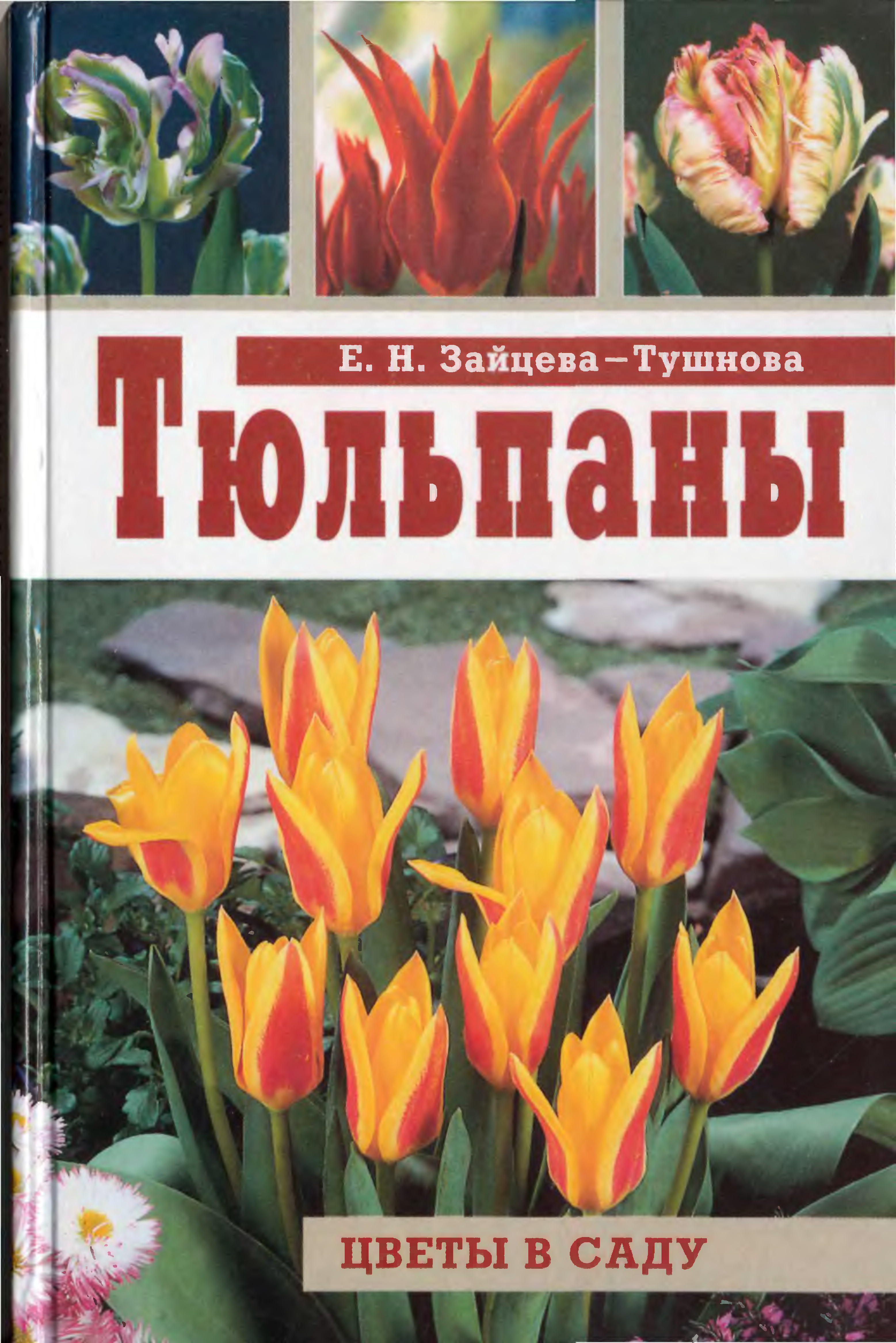 Книги тюльпаны. Тюльпаны и книги. Тюльпаны обложка. Книги на обложке тюльпан. Тюльпаны и книжка.