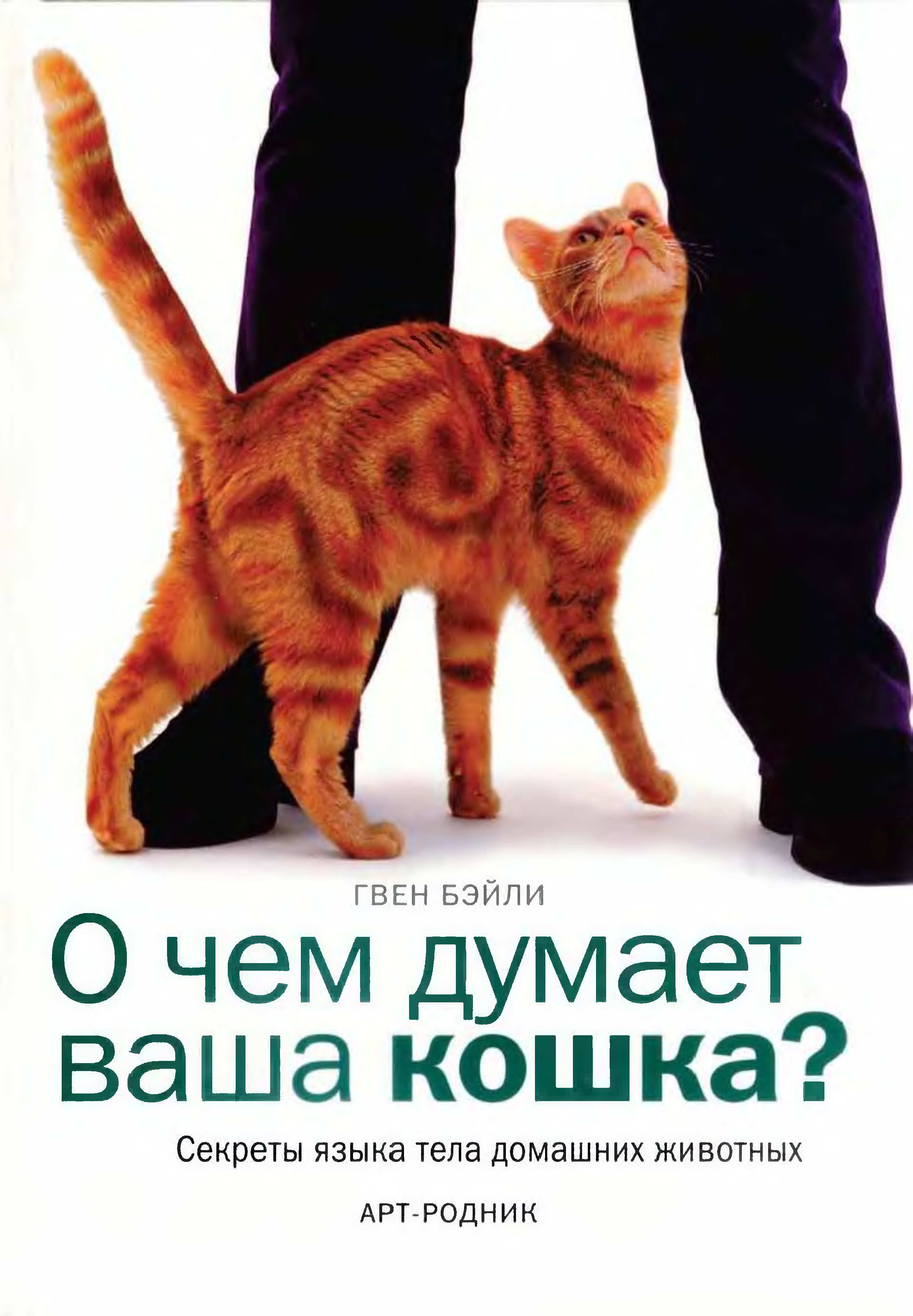 Understand pet. О чем думает ваша кошка. Кошка трется. Ваша кошка. Секреты кошек.