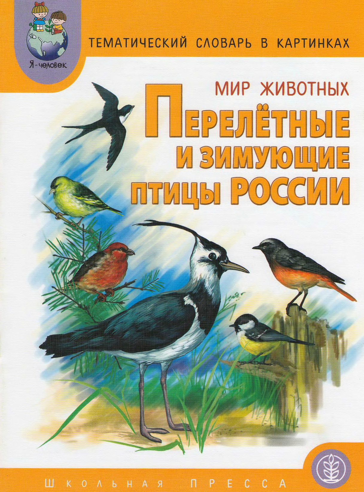 Книги о птицах. Книги о птицах для детей. Книги о птицах для дошкольников. Книги о зимующих птицах. Книги о зимующих птицах для дошкольников.