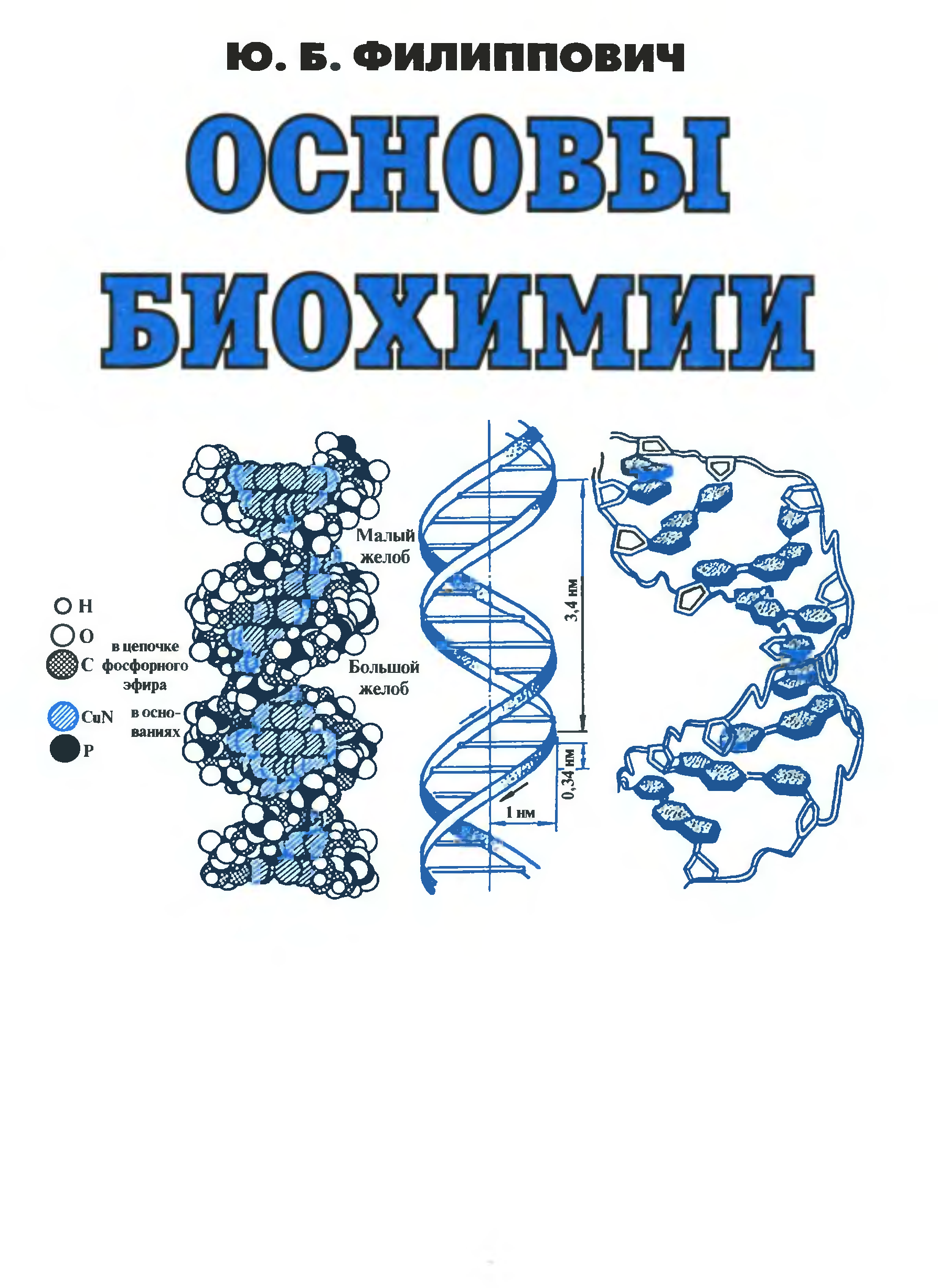 Основы б. Филиппович основы биохимии 1999. Биохимия. Основы по биохимии. Биохимические основы человека.