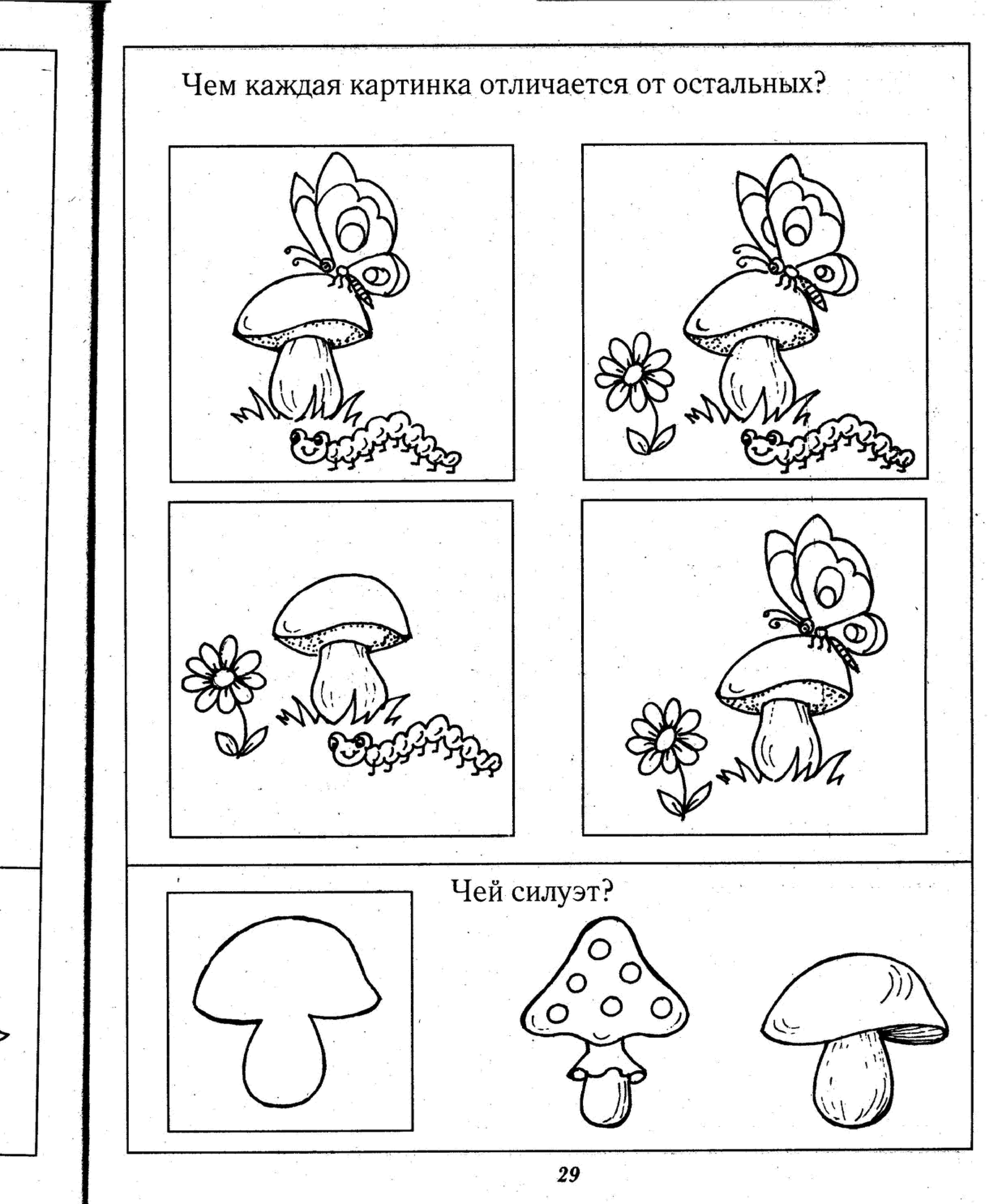 Задания на тему грибы