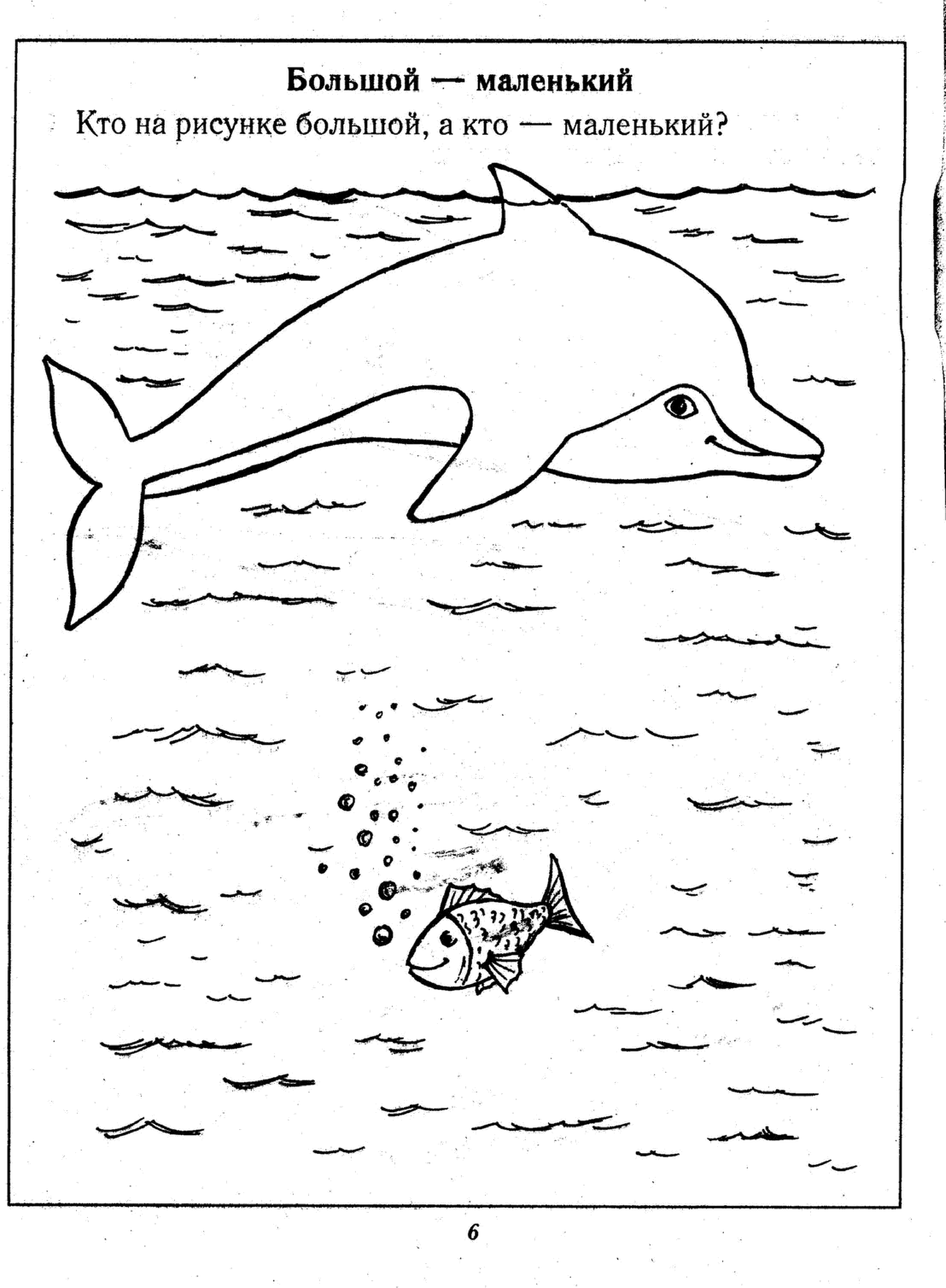 Дельфин задания для детей