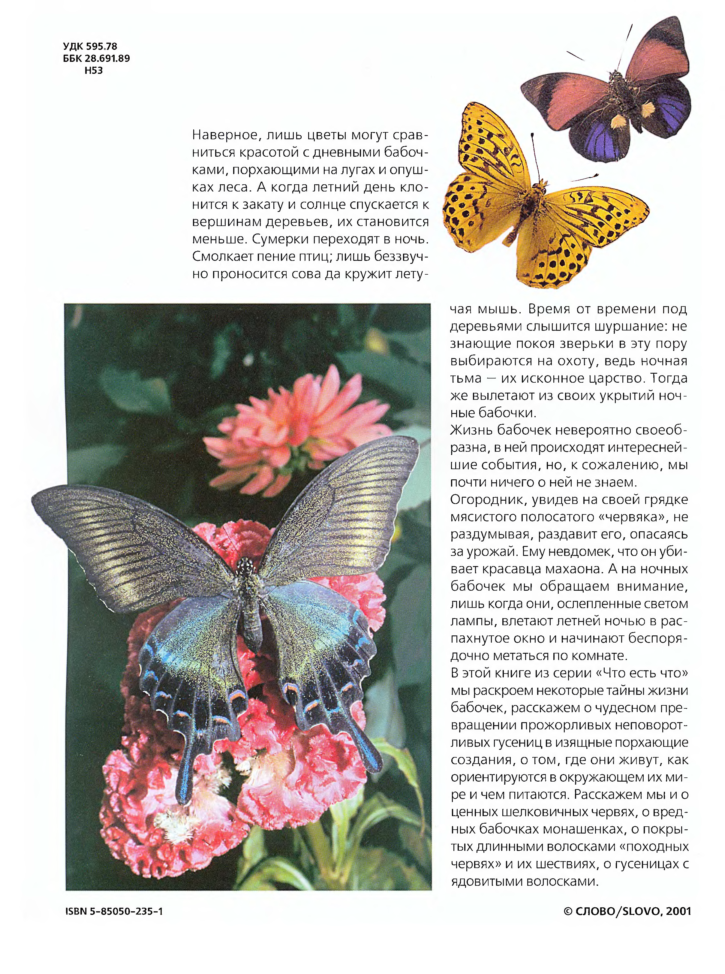 Жизнь бабочки. Читать про бабочек. Книга с бабочками. Книги про бабочек научные.