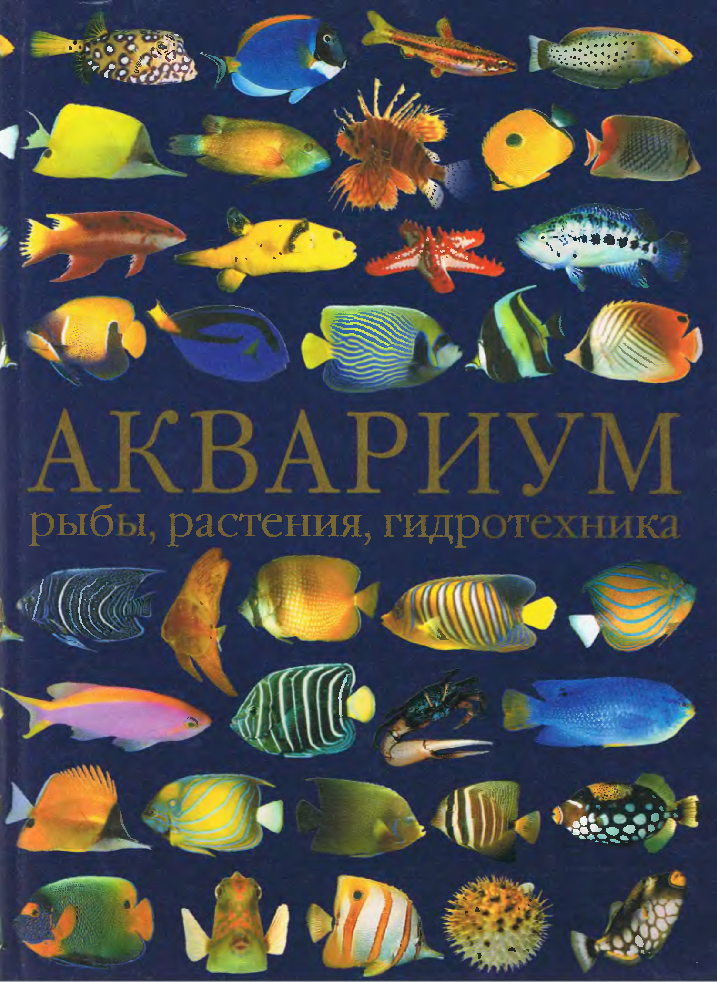 Книги про рыб. Аквариум книга. Книга про аквариумных рыбок. Аквариумные рыбки книжка. Аквариум и рыба,книга.