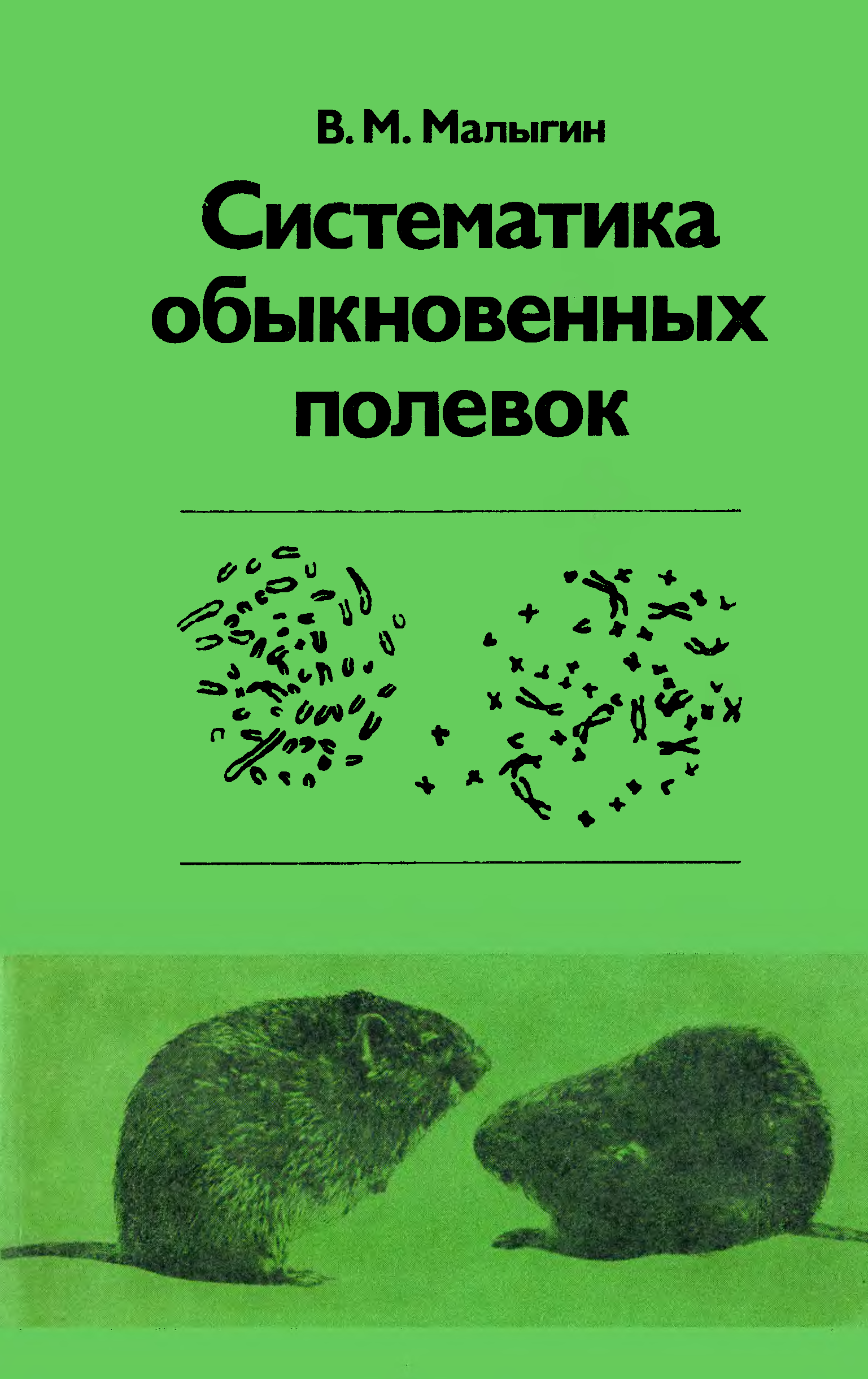 Пузырчатка обыкновенная систематика. Обыкновенная сорока систематика. Саламандра книга полевка. Систематика огурца обыкновенного.