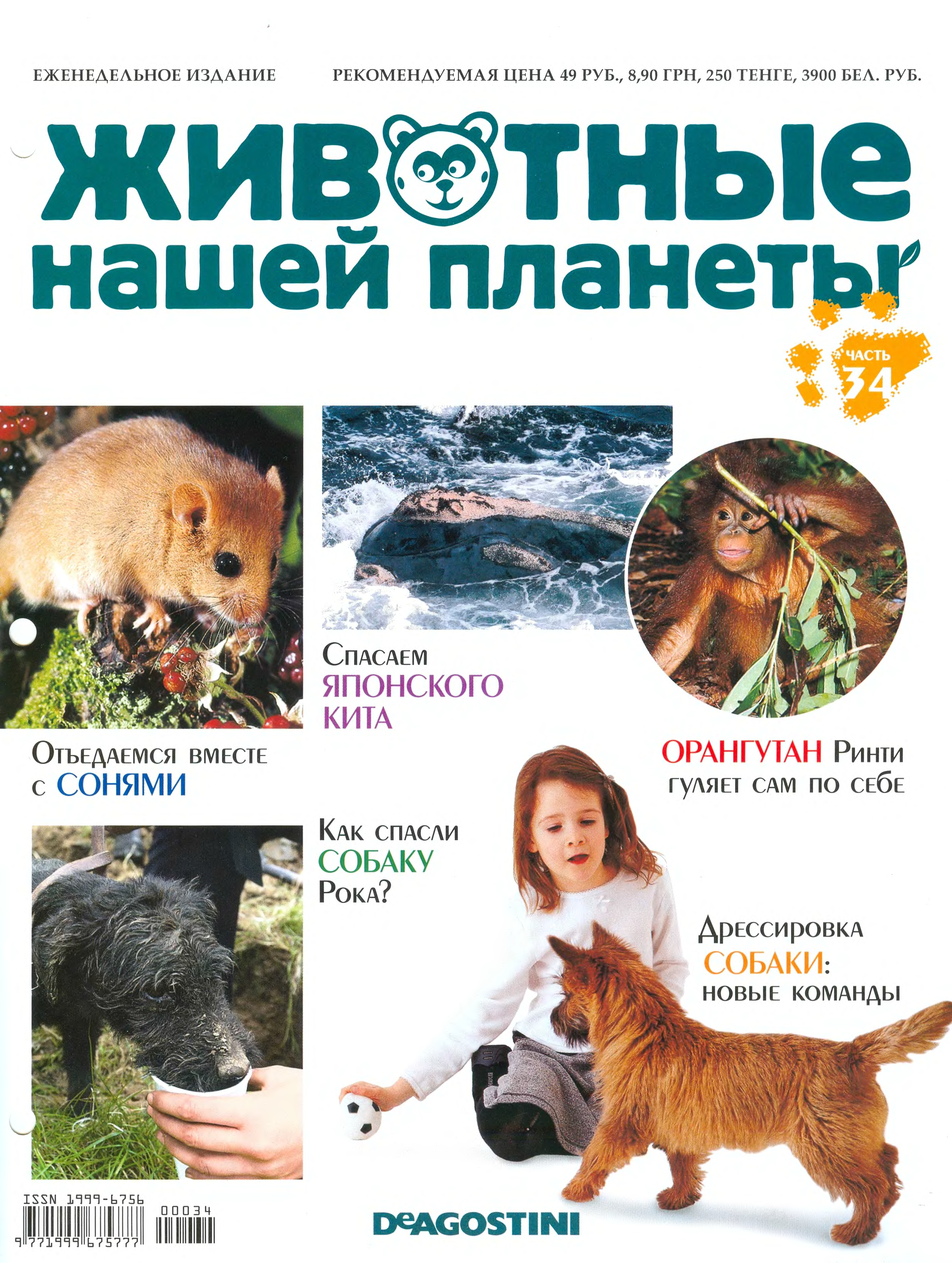 Журнал про животных