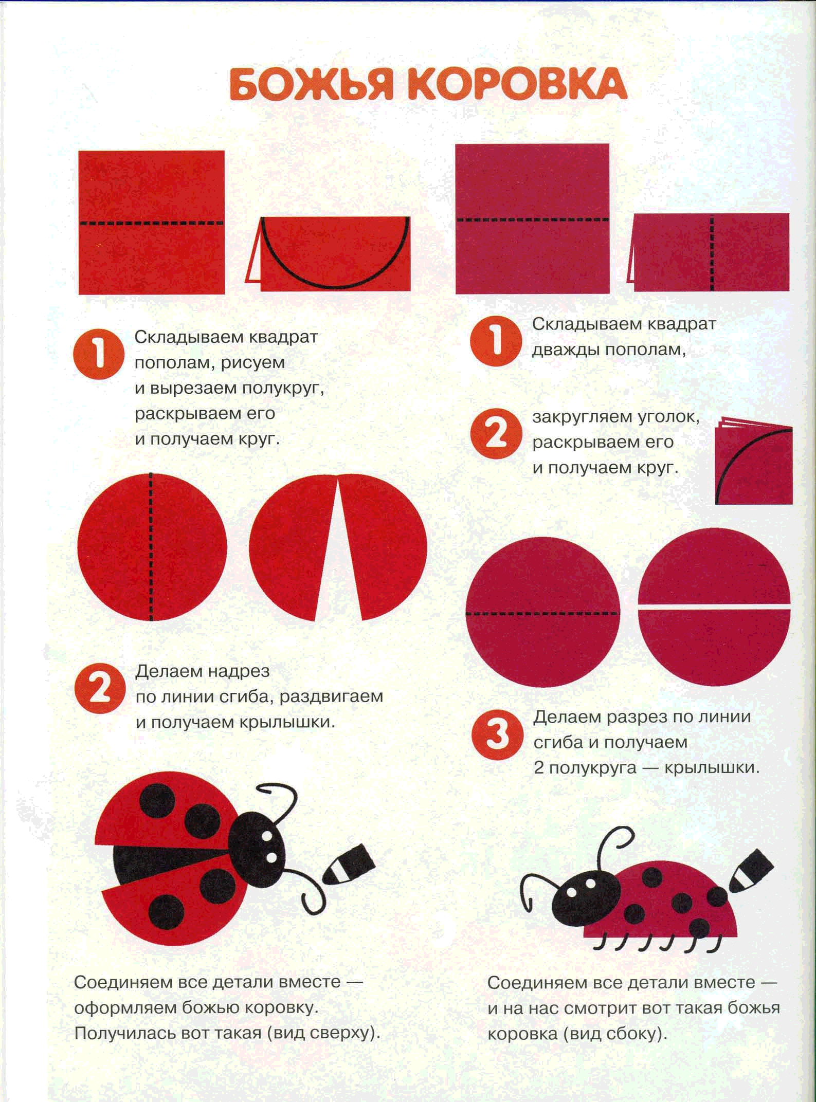 Аппликация Божья коровка