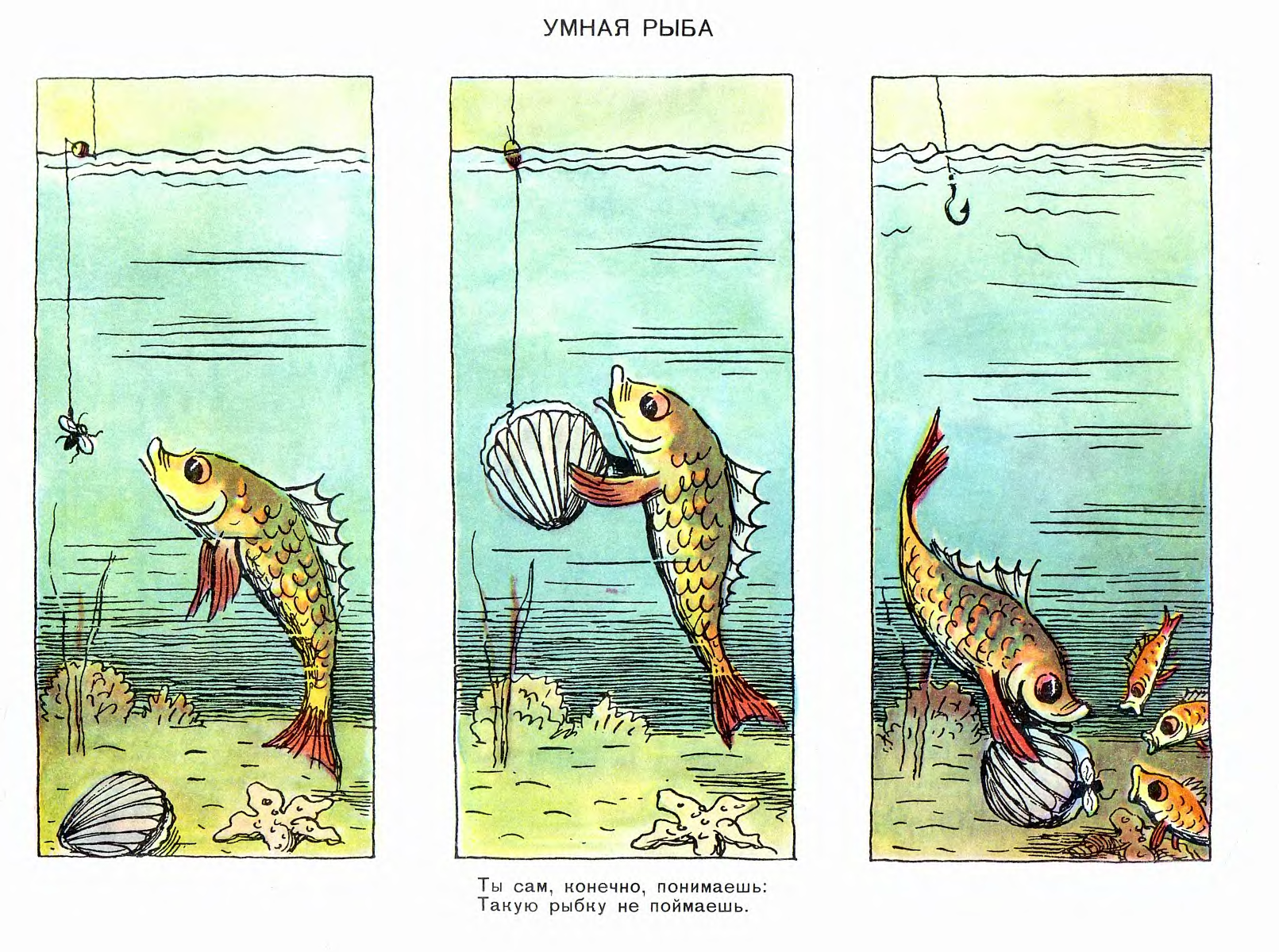 Рыбка пересказ. Рассказы в картинках. Картинки рыб рассказ. Рассказ по картинкам рыбы. Составление рассказа по теме рыбы.
