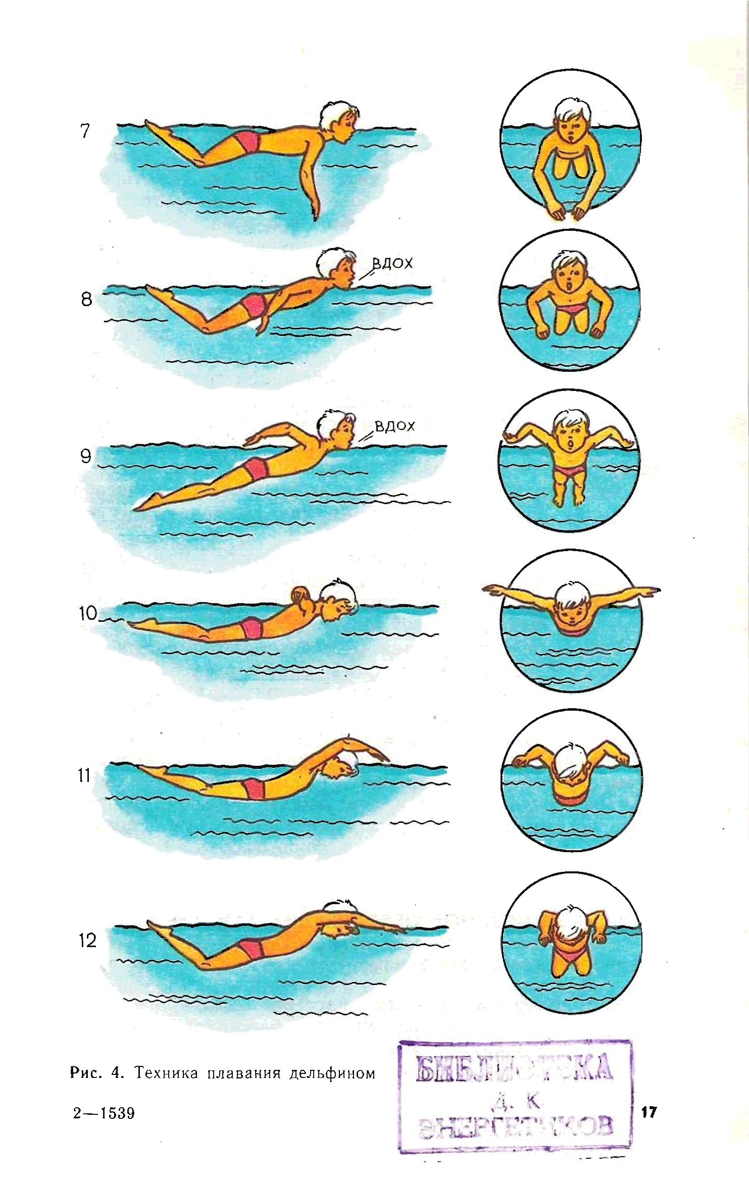 техника плавания картинки