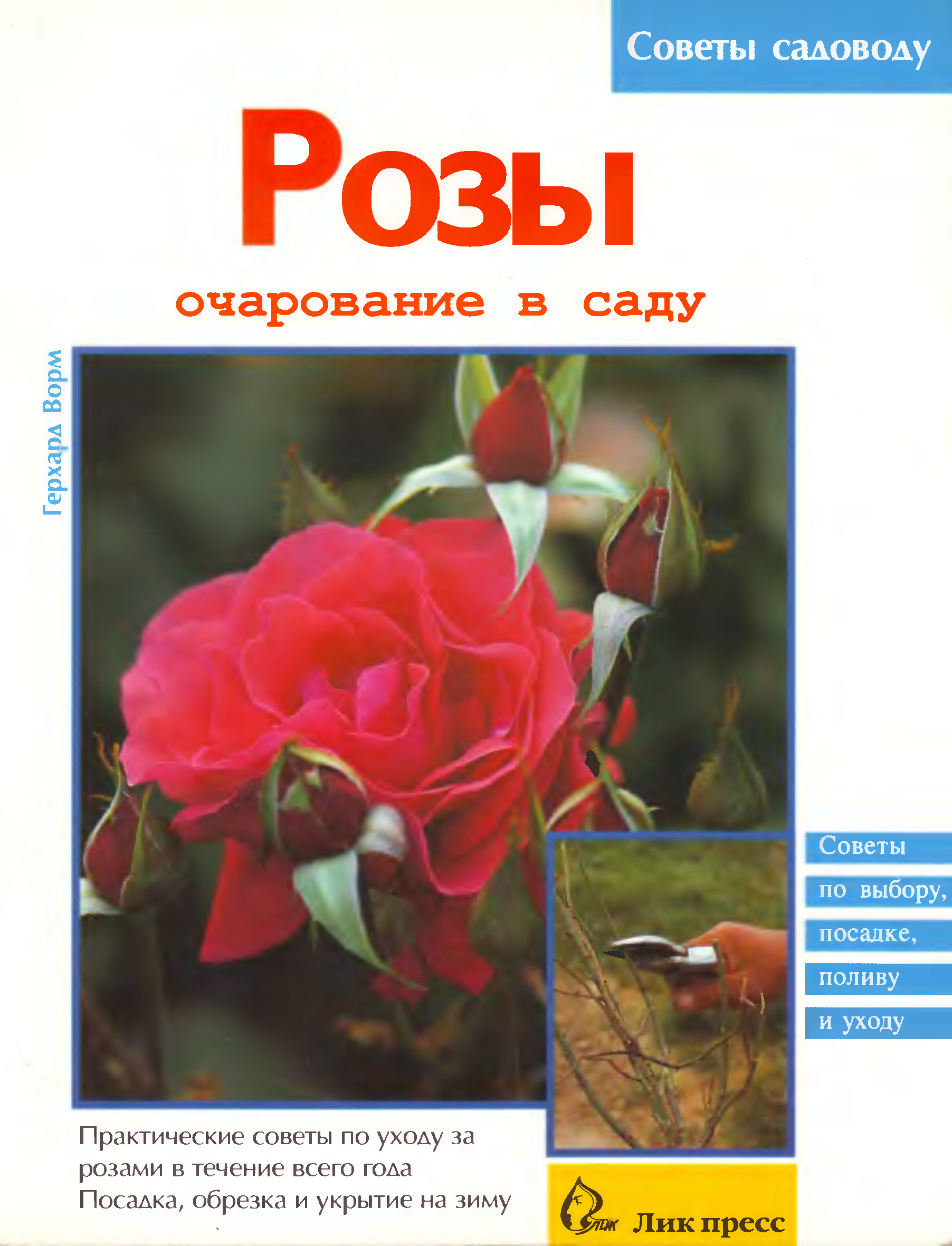 Розарий книга. Роза на книге. Роман о Розе. Книги о розах список. Enchantment роза.