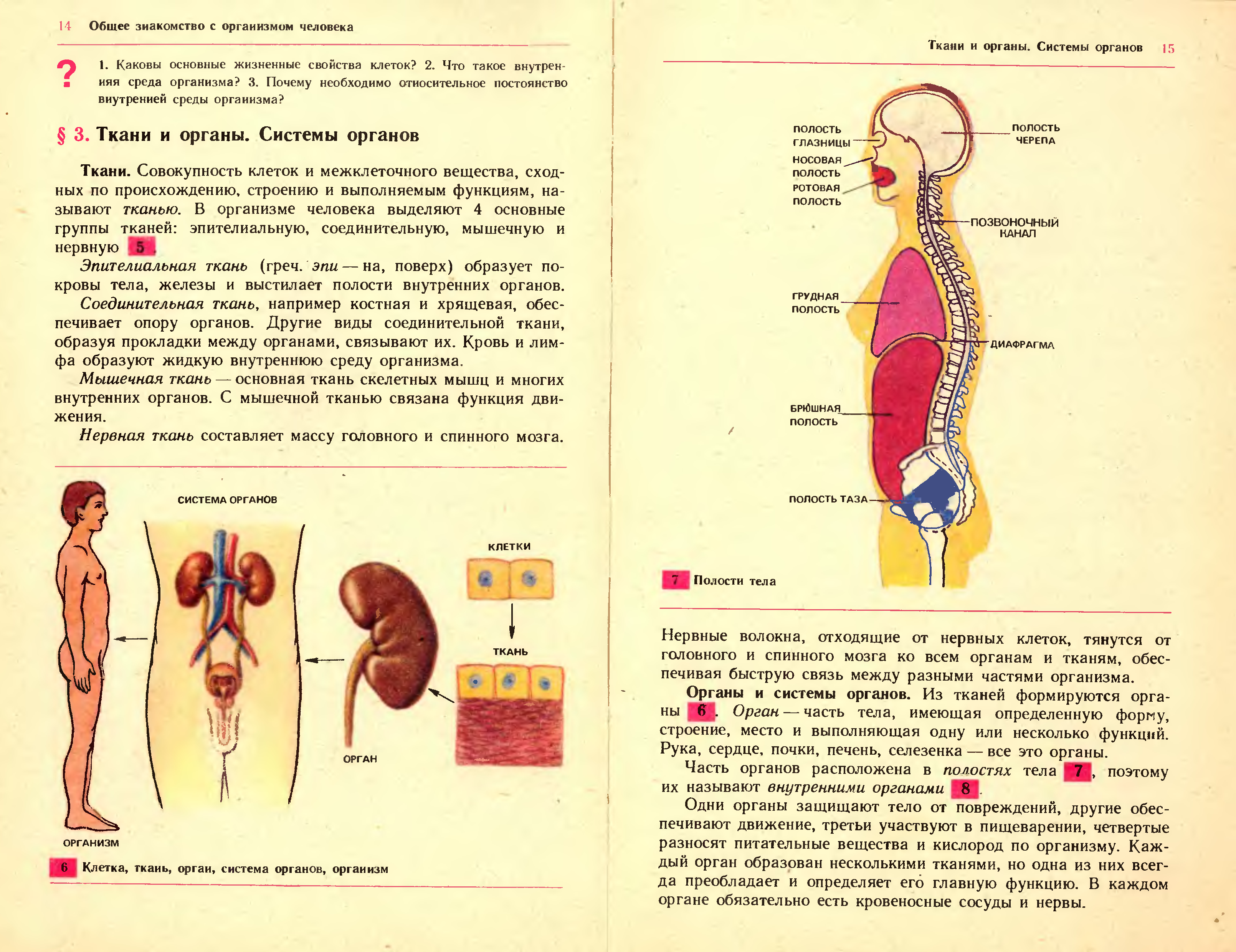 Биология 9 класс анатомия человека книга