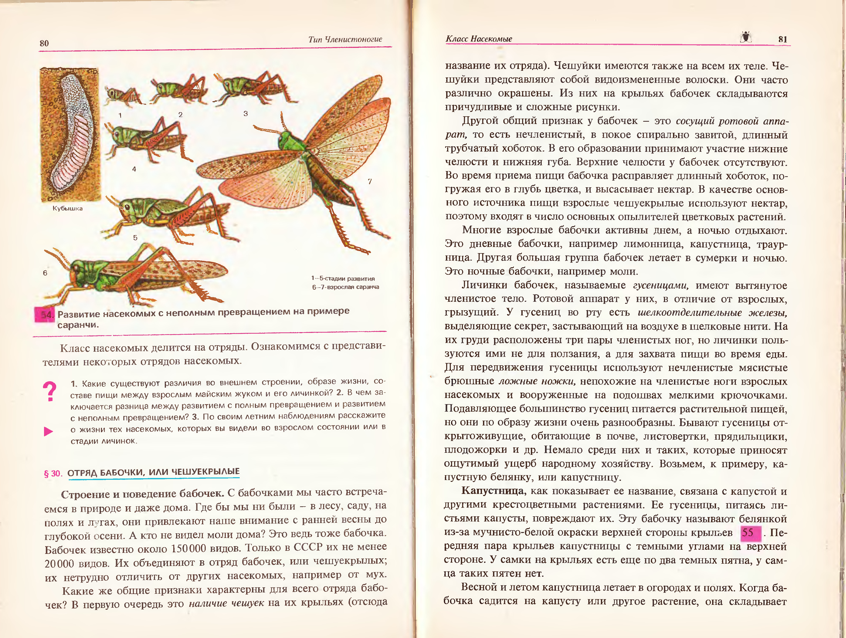 Биология животные 8 класс. Биология 7 8 класс Быховский Козлова. Шелкоотделительные железы и ротовые аппараты насекомых вредителей. Биология 7 класс Козлова читать онлайн. Учебник биологии Козлов 7 класс.