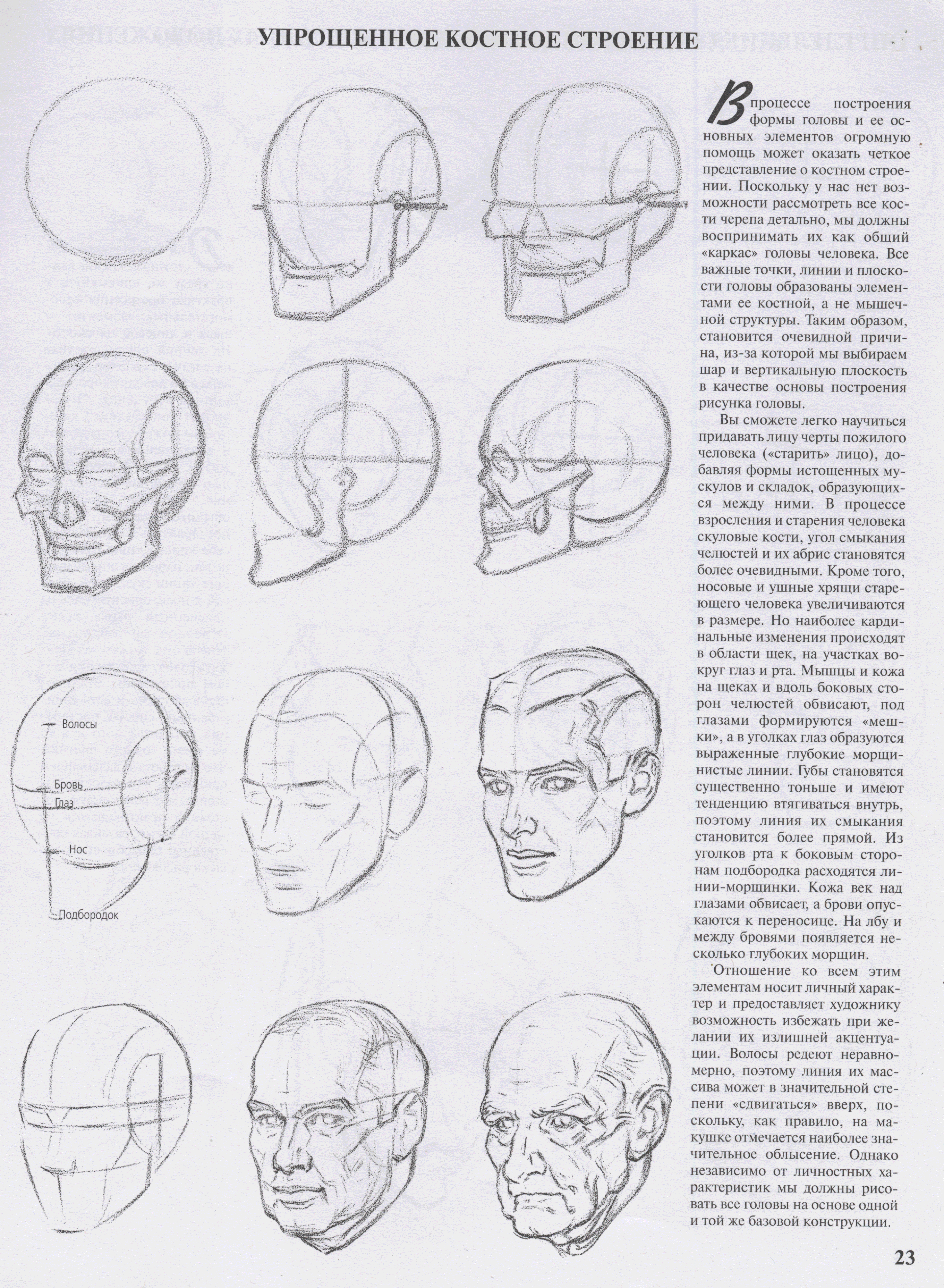 Рисование голов лумис