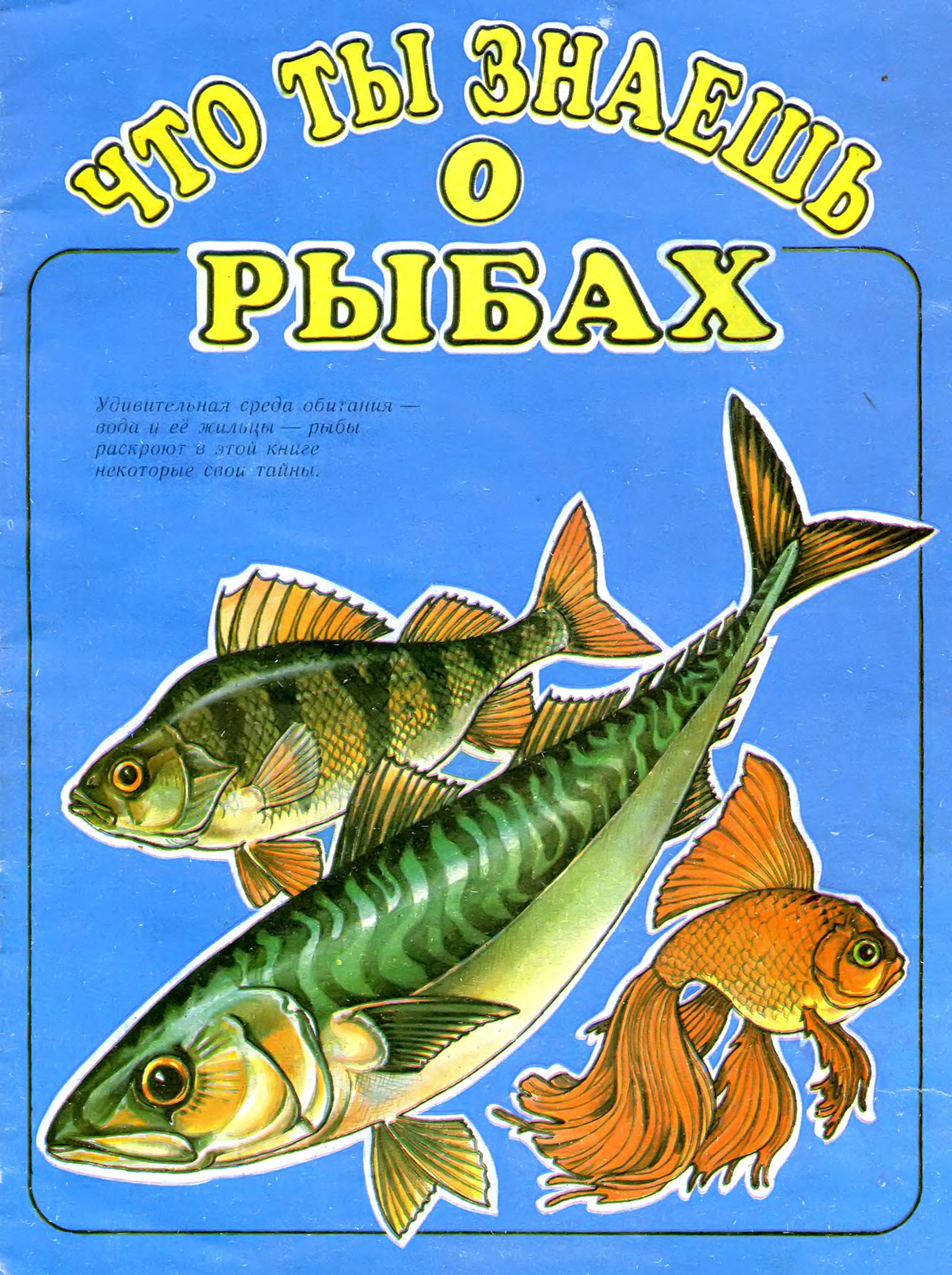 Книги про рыб. Детские книги про рыб. Книги о рыбках для детей. Рыба для детей.