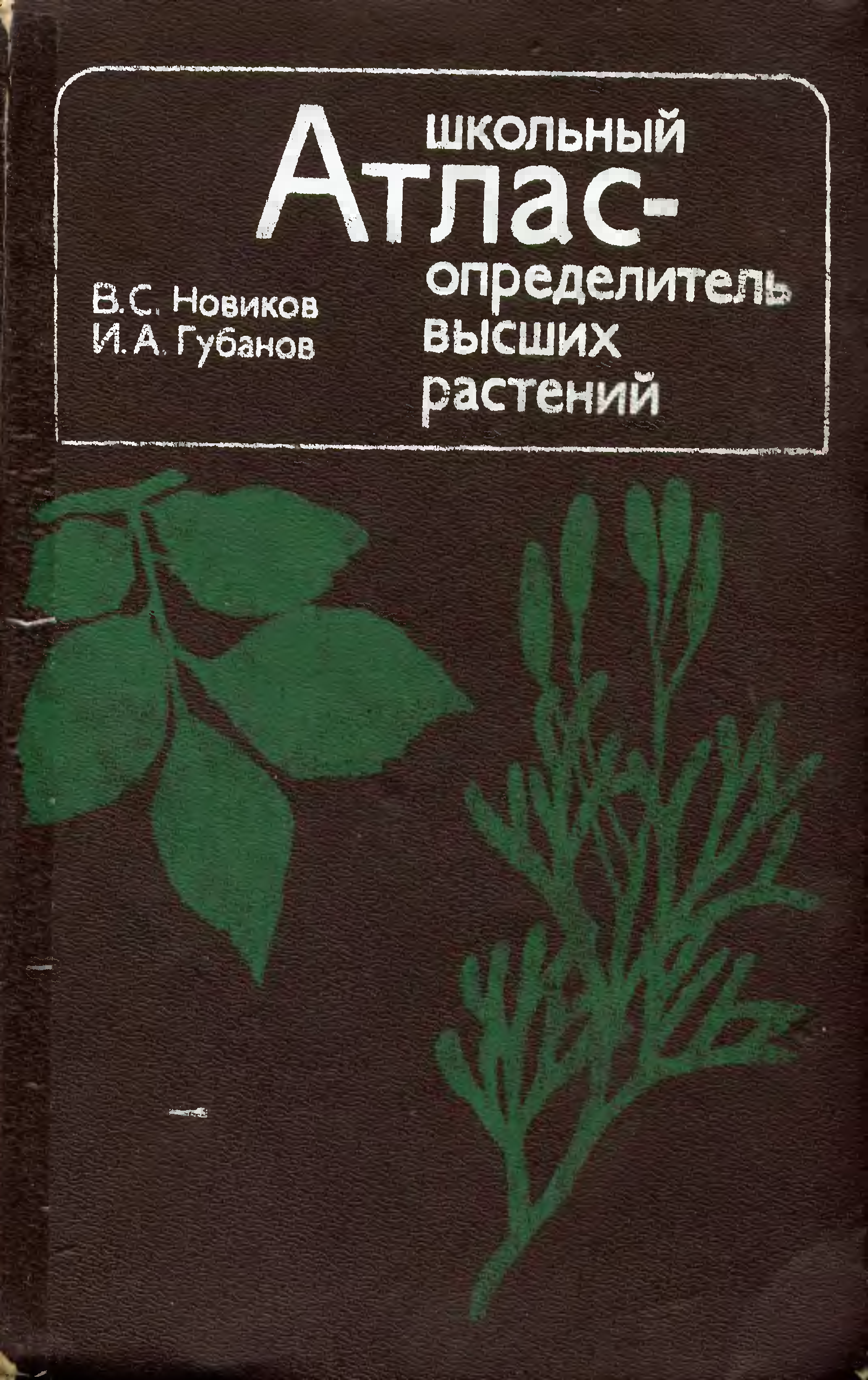 Атлас растений. Новиков Губанов школьный атлас-определитель высших растений 1991куп. Атлас определитель растений книга. Новиком Губанов определитель атлас растений. Новиков школьный атлас определитель высших растений.