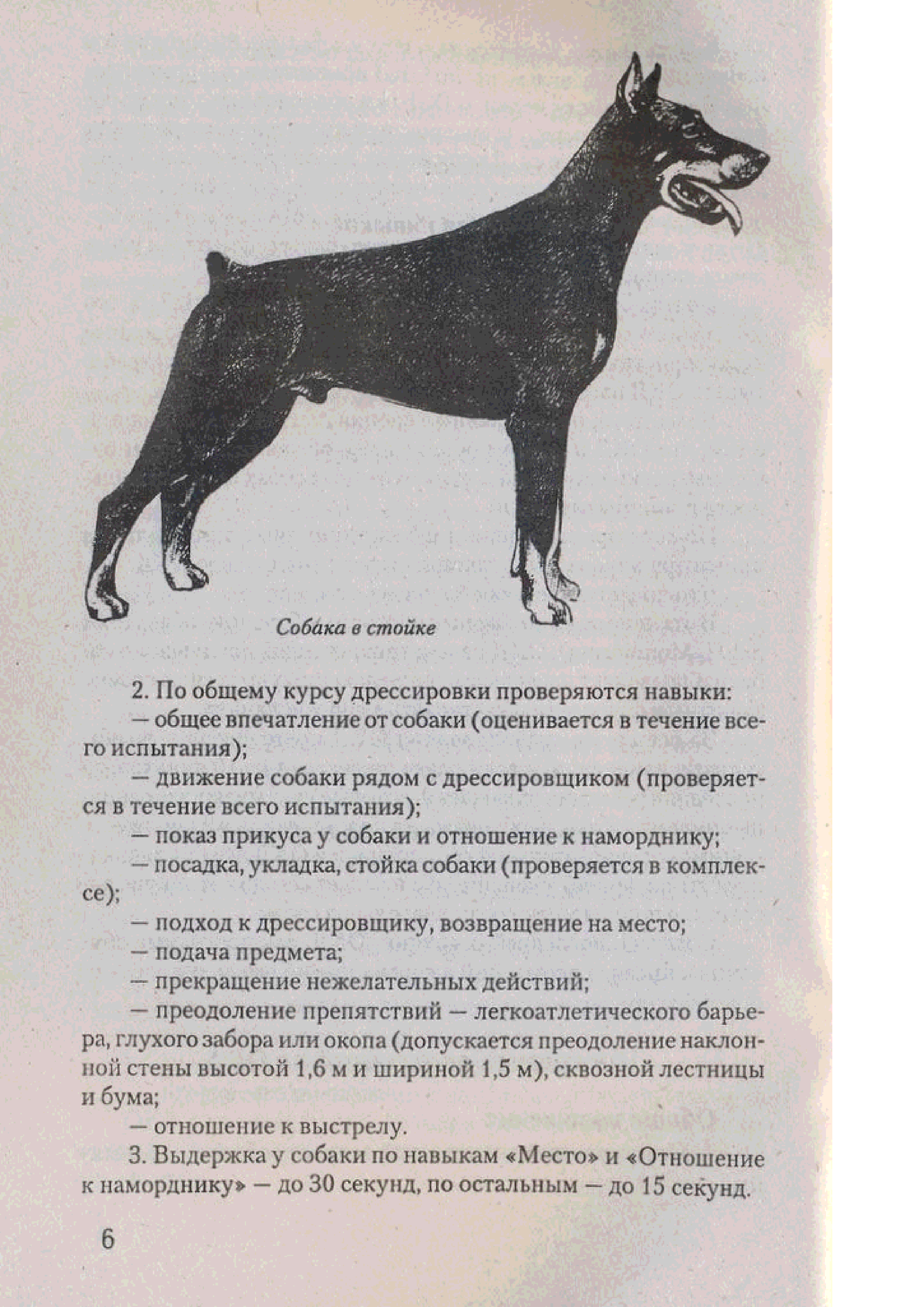 План дрессировки собаки