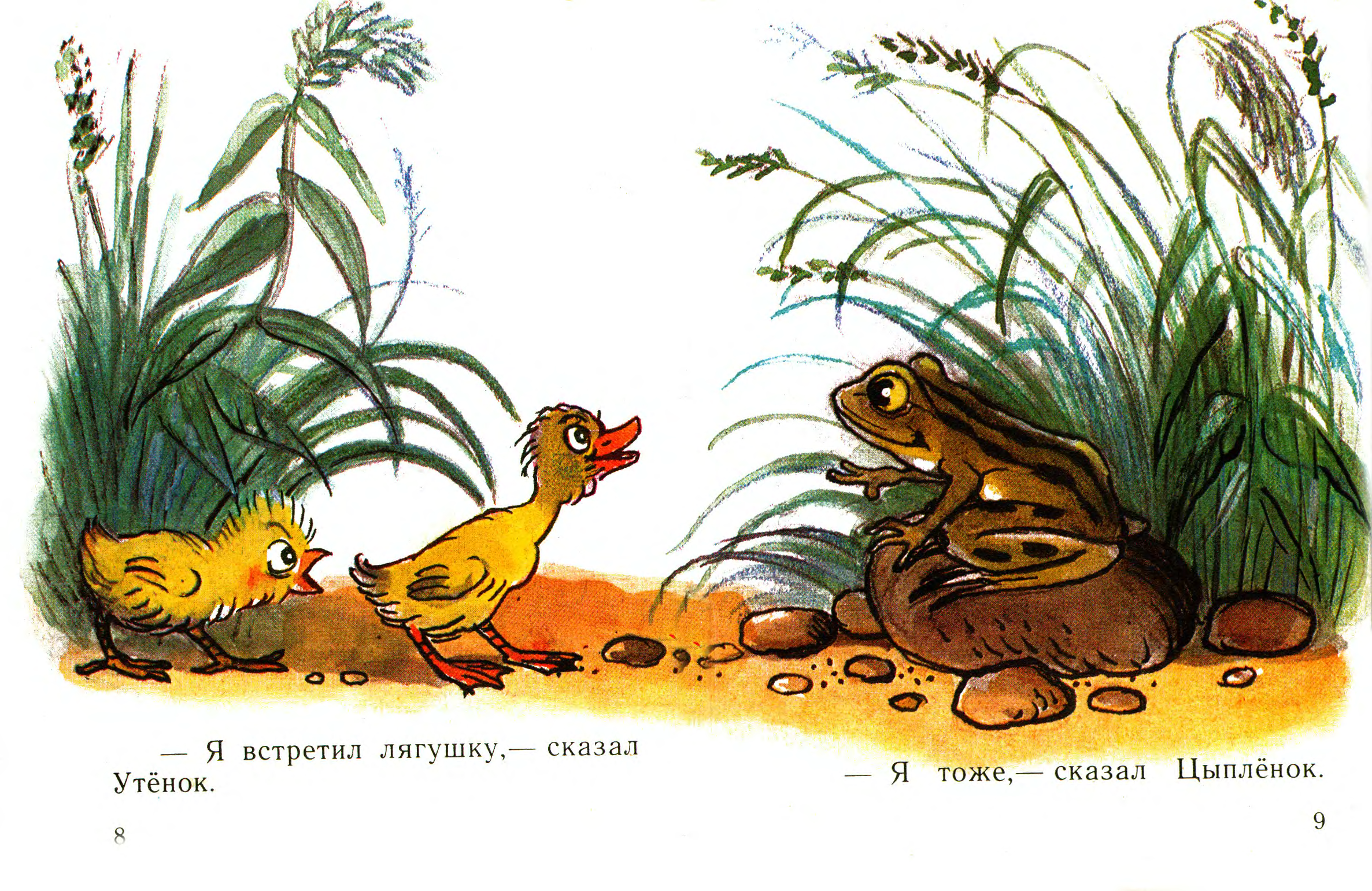 Иллюстрации к сказке Сутеева цыпленок и утенок
