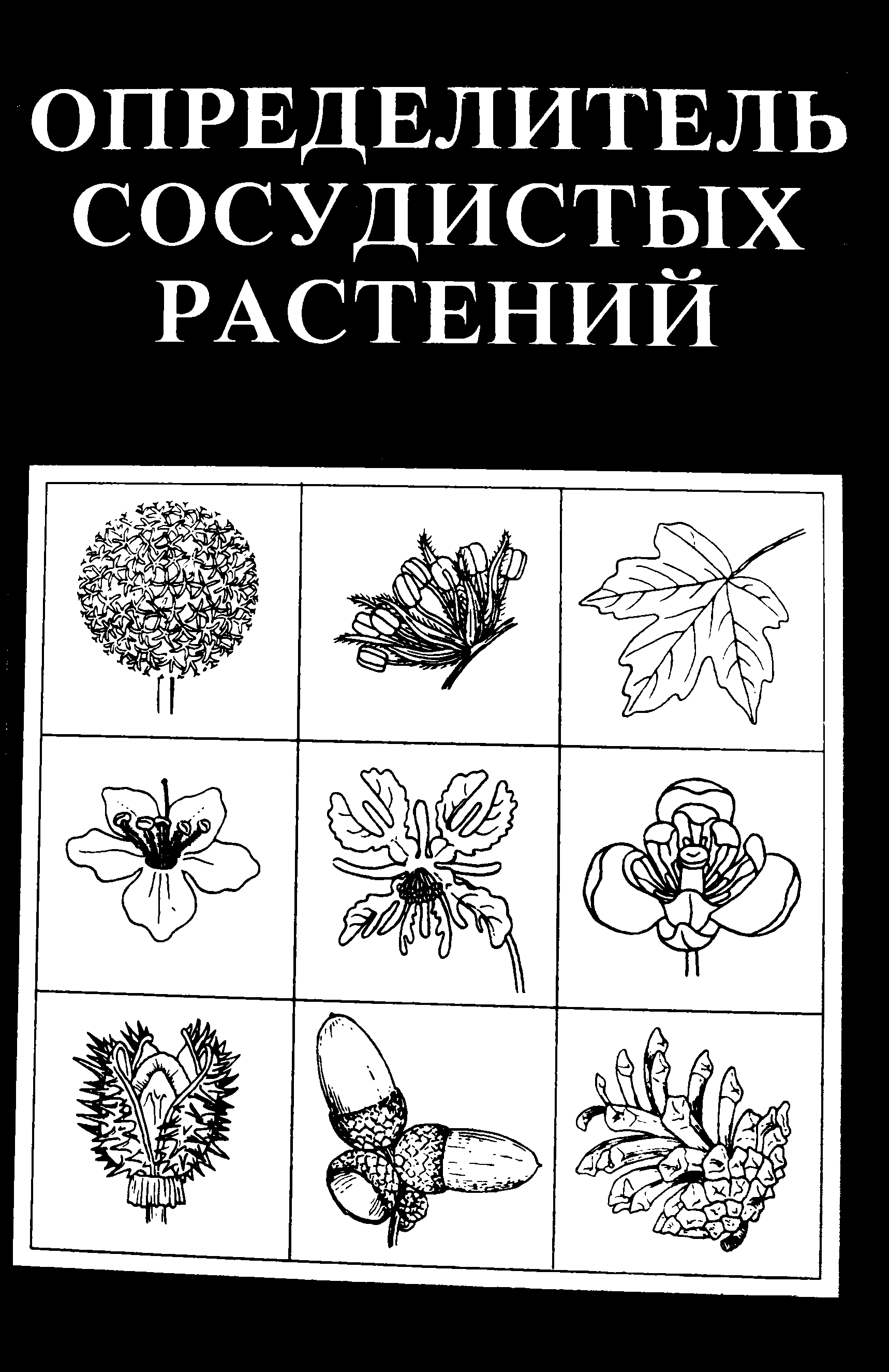 Определитель растений. Губанов определитель растений. Определитель сосудистых растений Губанов. Определитель сосудистых растений центра европейской России. Определитель Ботанический.